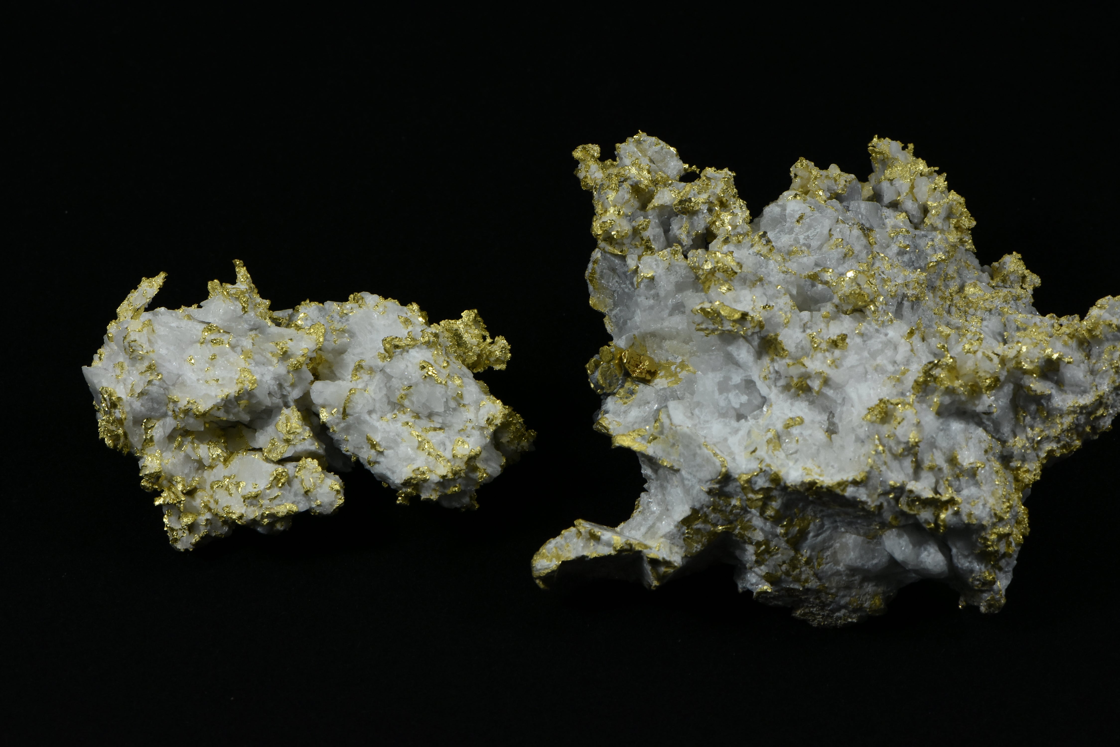Sixteen To One Mine Gold Nuggets - Nuggets By Grant