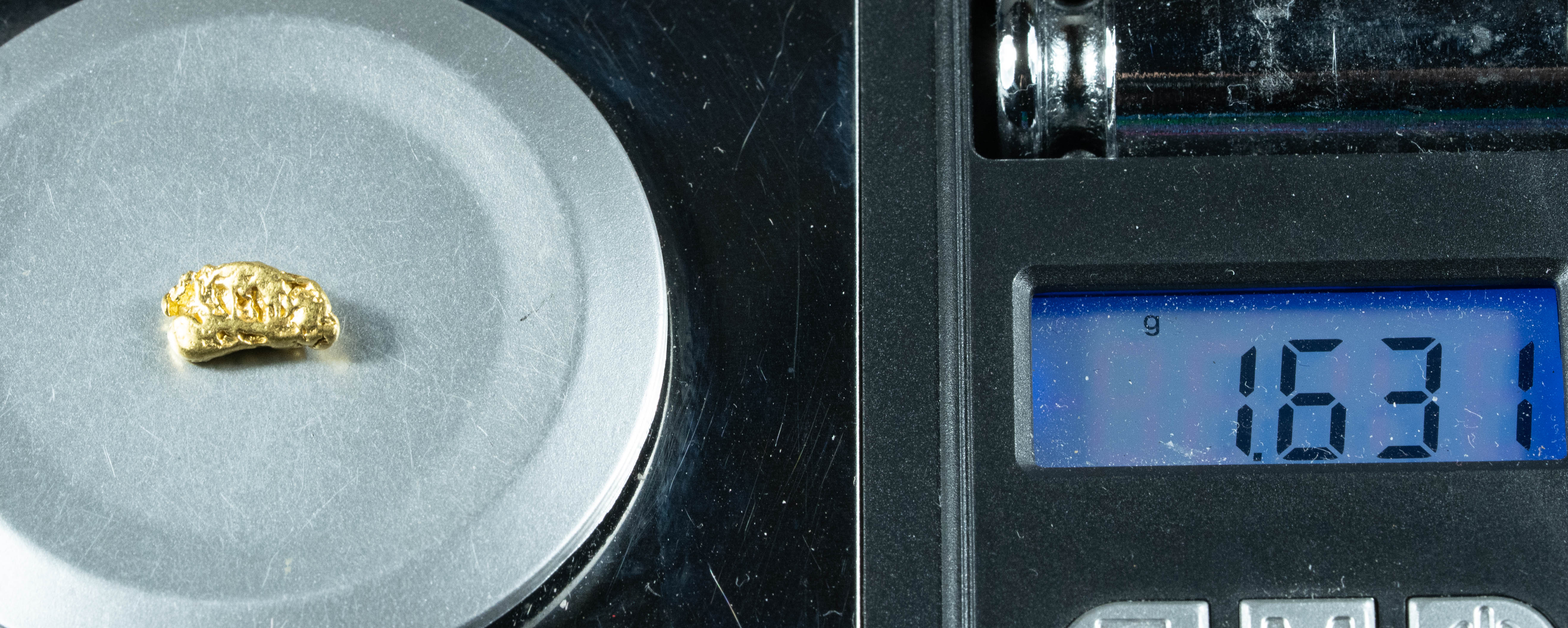 #103 Alaskan BC Natural Gold Nugget 1.63 Grams Genuine