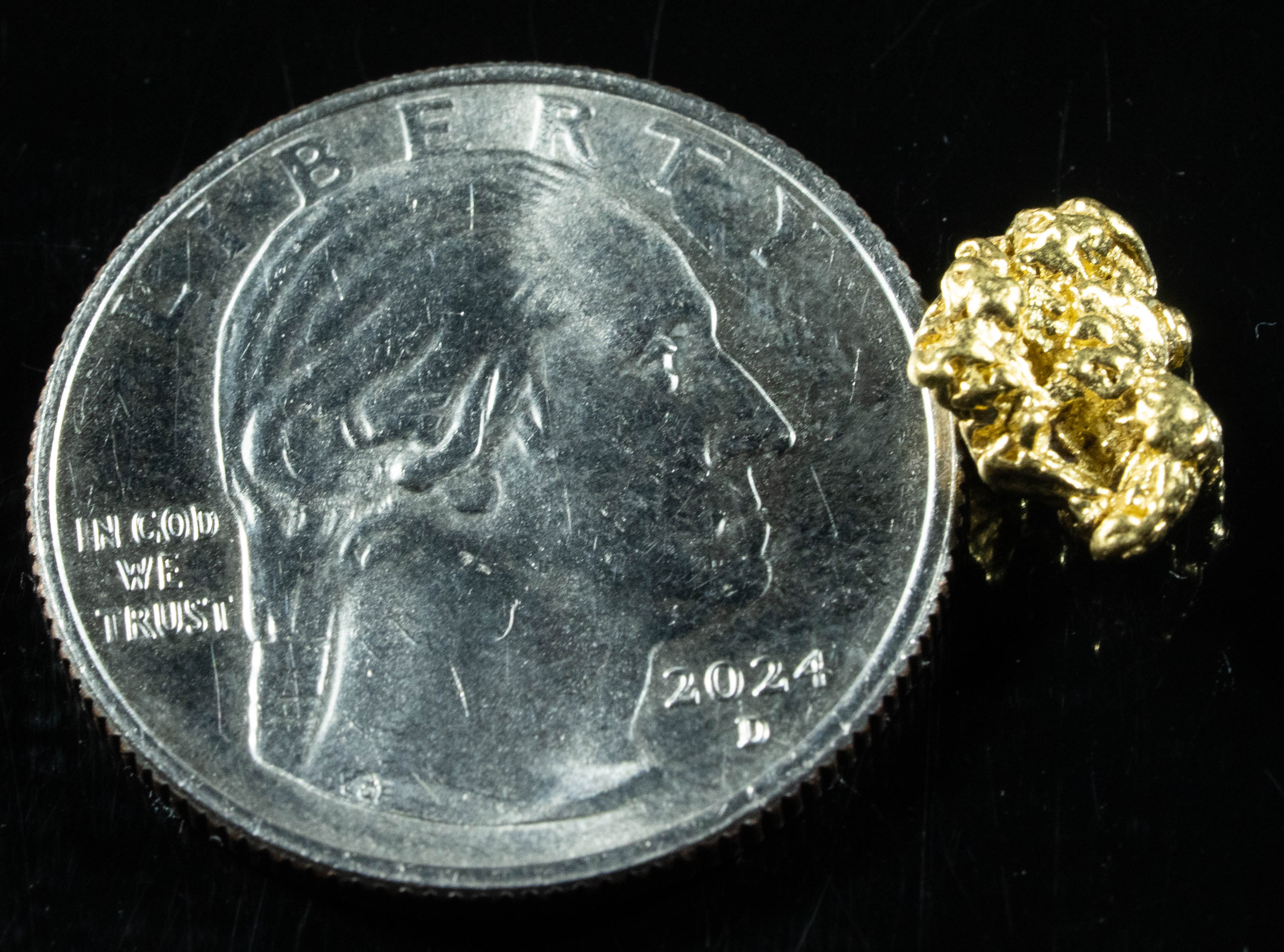 #109 Alaskan BC Natural Gold Nugget 1.61 Grams Genuine