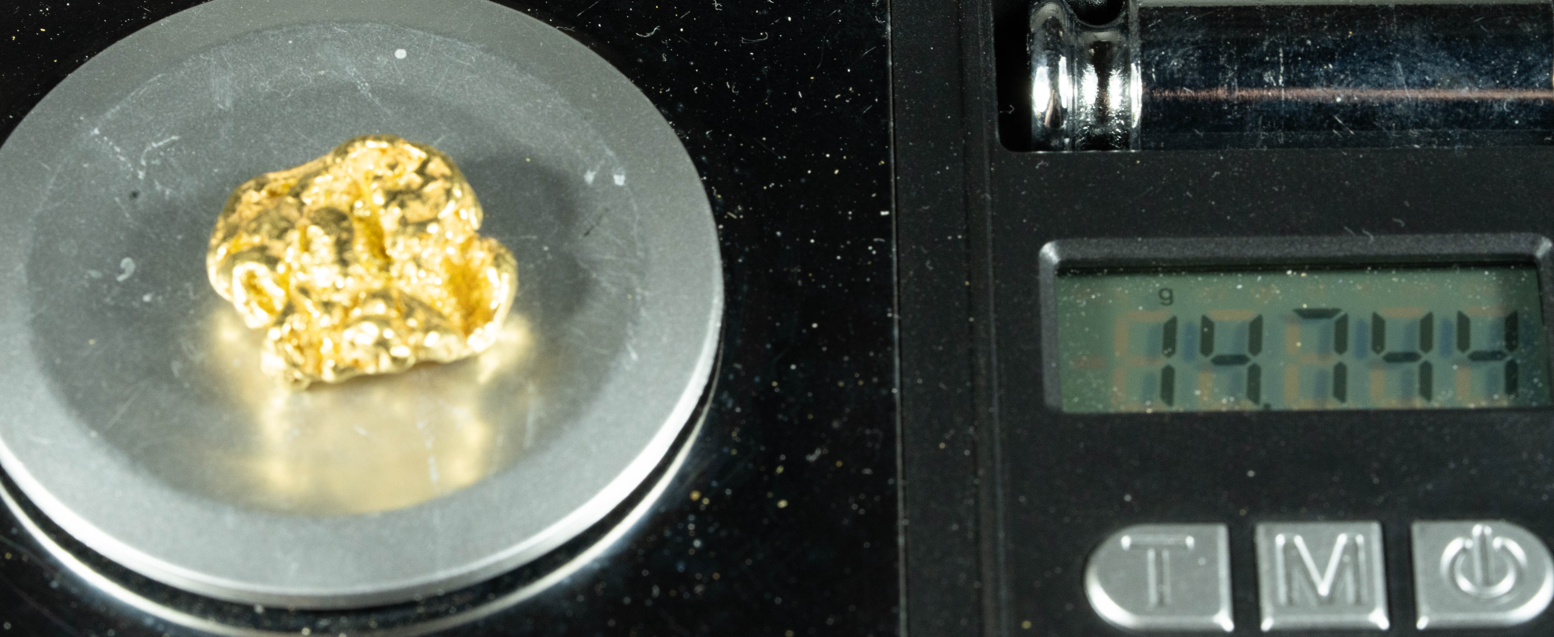 #383 Alaskan BC Natural Gold Nugget 14.74 Grams Genuine