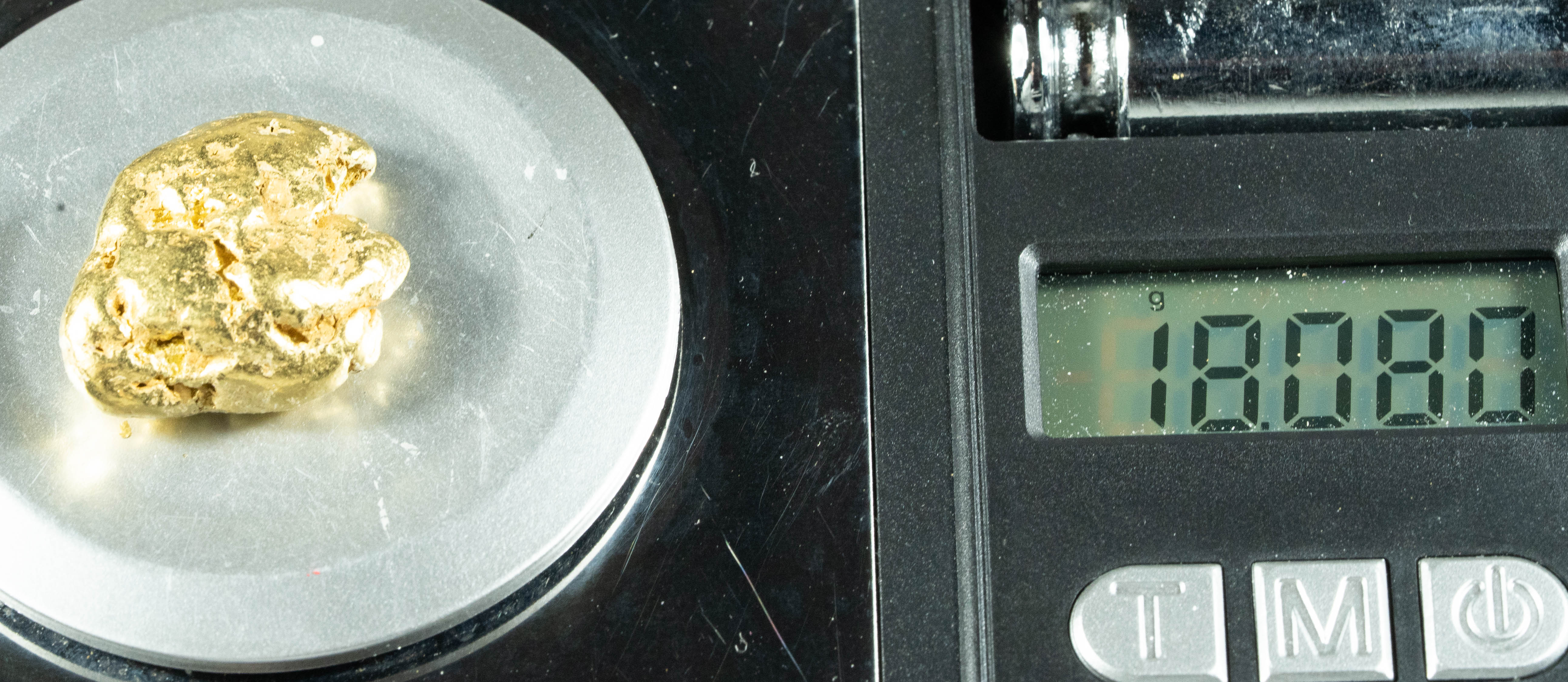 #408 Alaskan BC Natural Gold Nugget 18.08 Grams Genuine