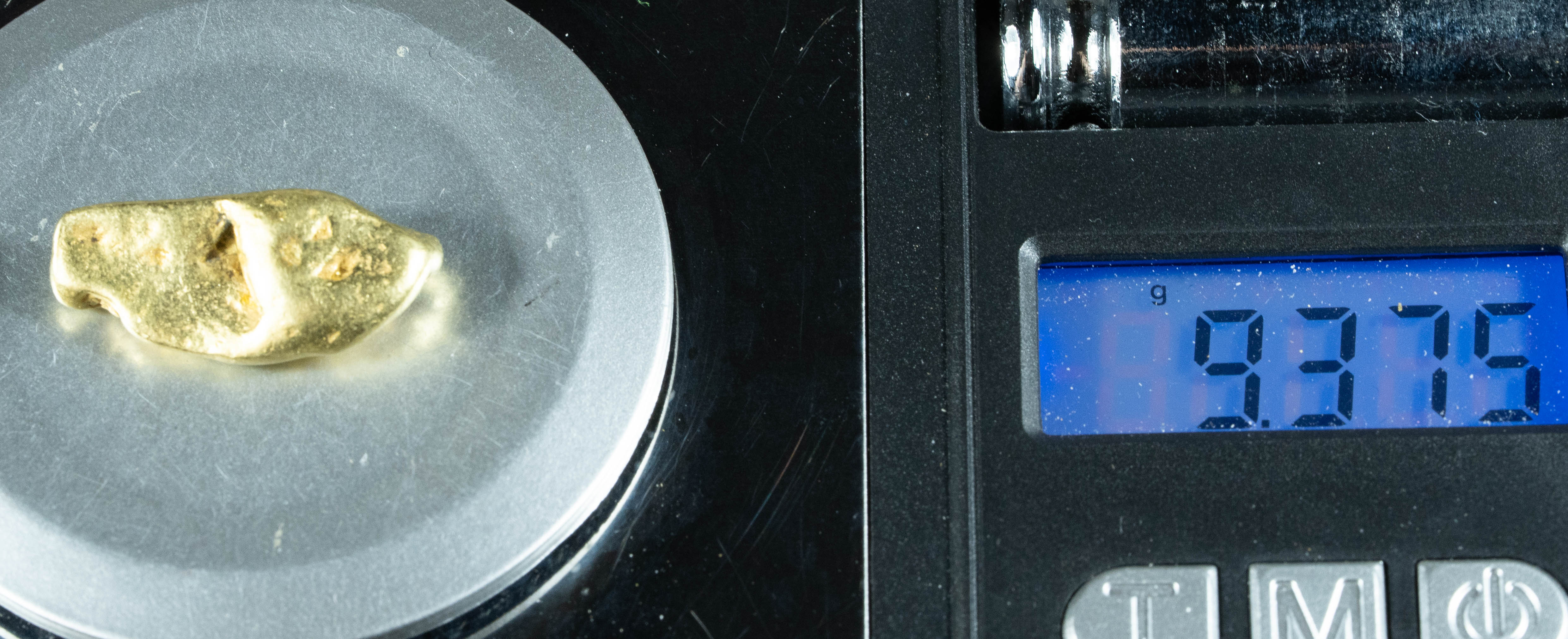 #446 Alaskan BC Natural Gold Nugget 9.37 Grams Genuine