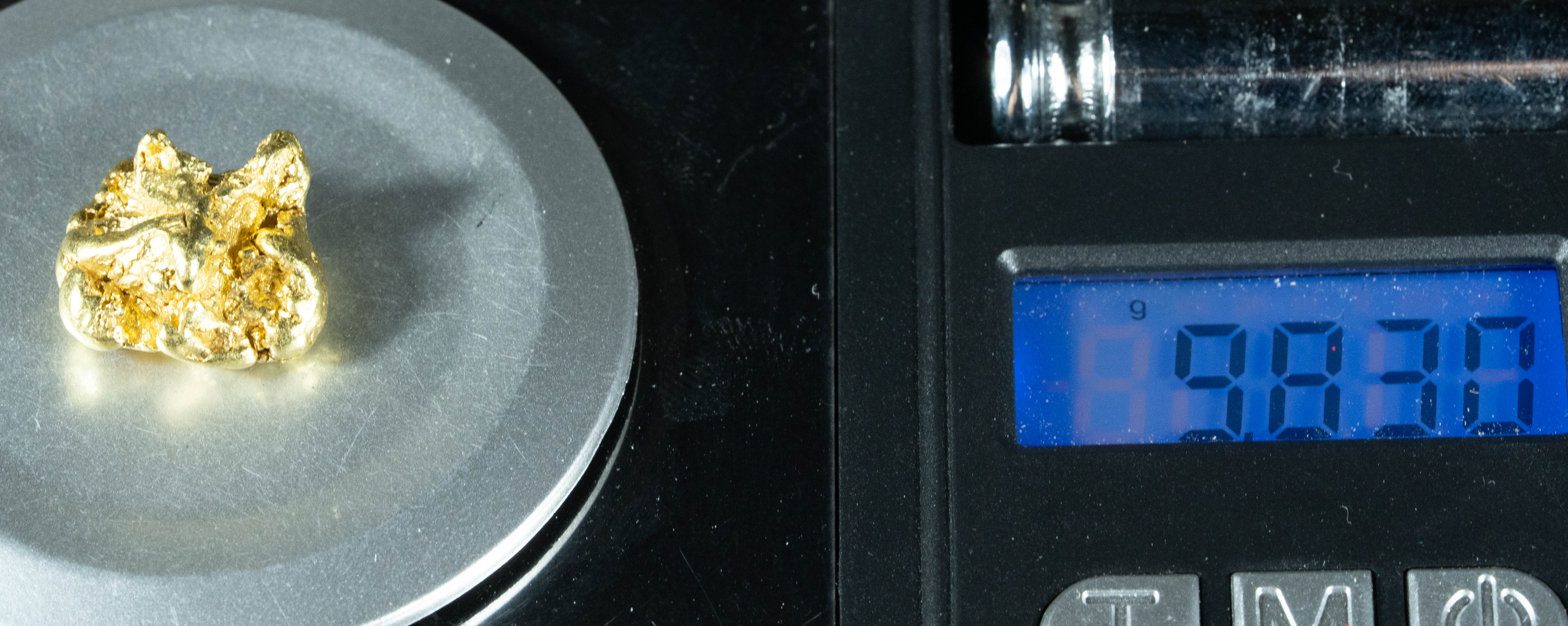 #430 Alaskan BC Natural Gold Nugget 9.83 Grams Genuine