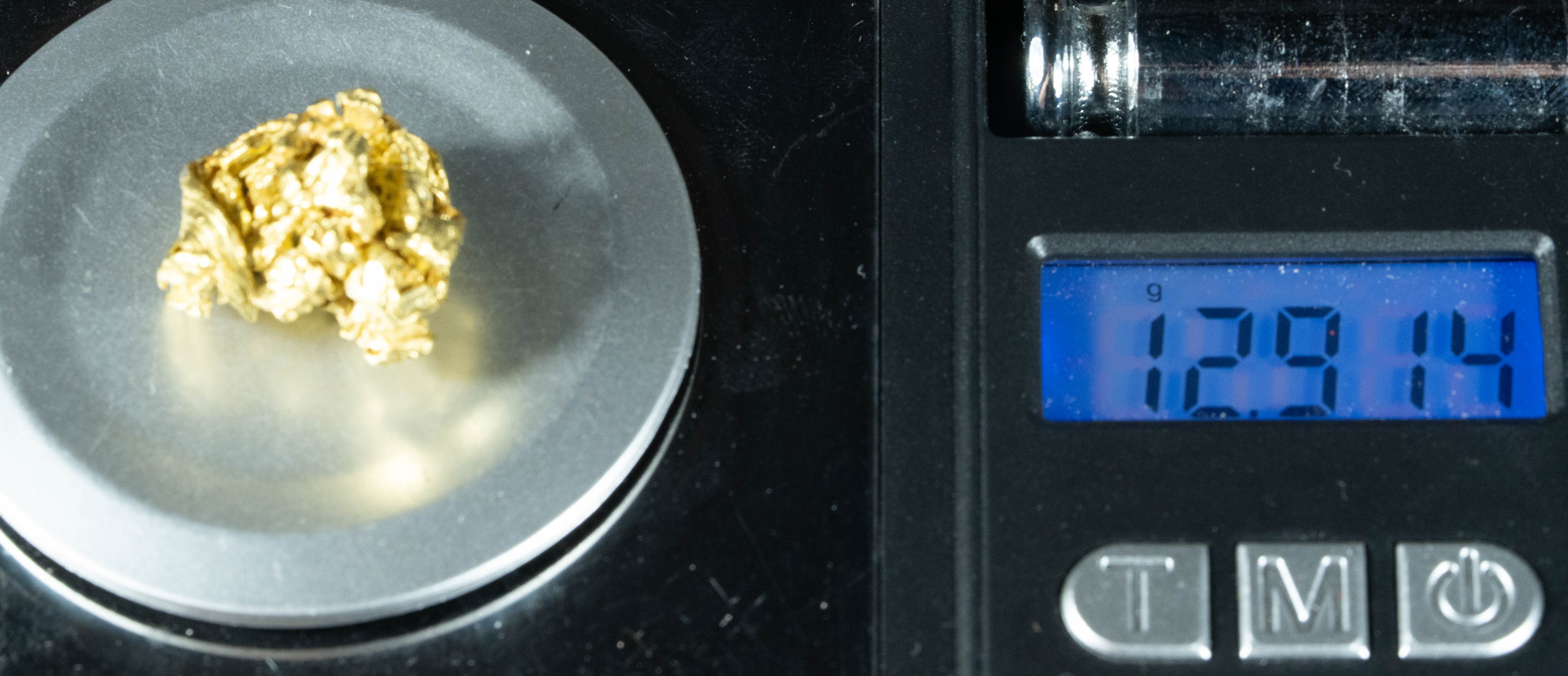 #432 Alaskan BC Natural Gold Nugget 12.91 Grams Genuine