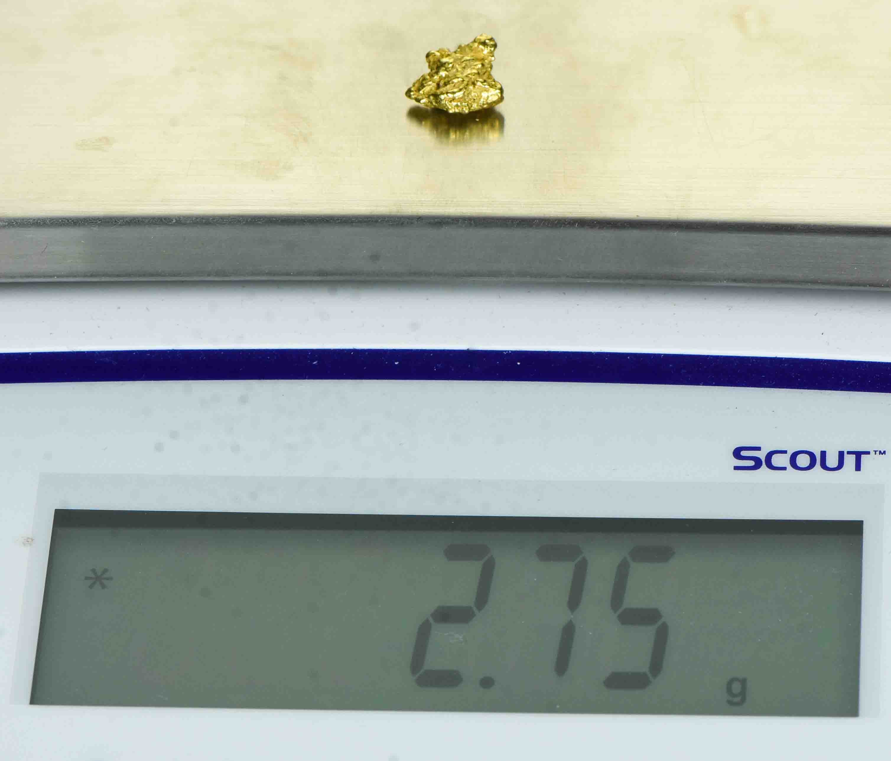 #330 Alaskan BC Natural Gold Nugget 2.75 Grams Genuine