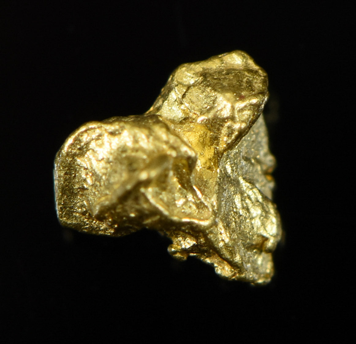 Two Gold Nuggets Worth $350,000 Found In Australia - News - Foto 9