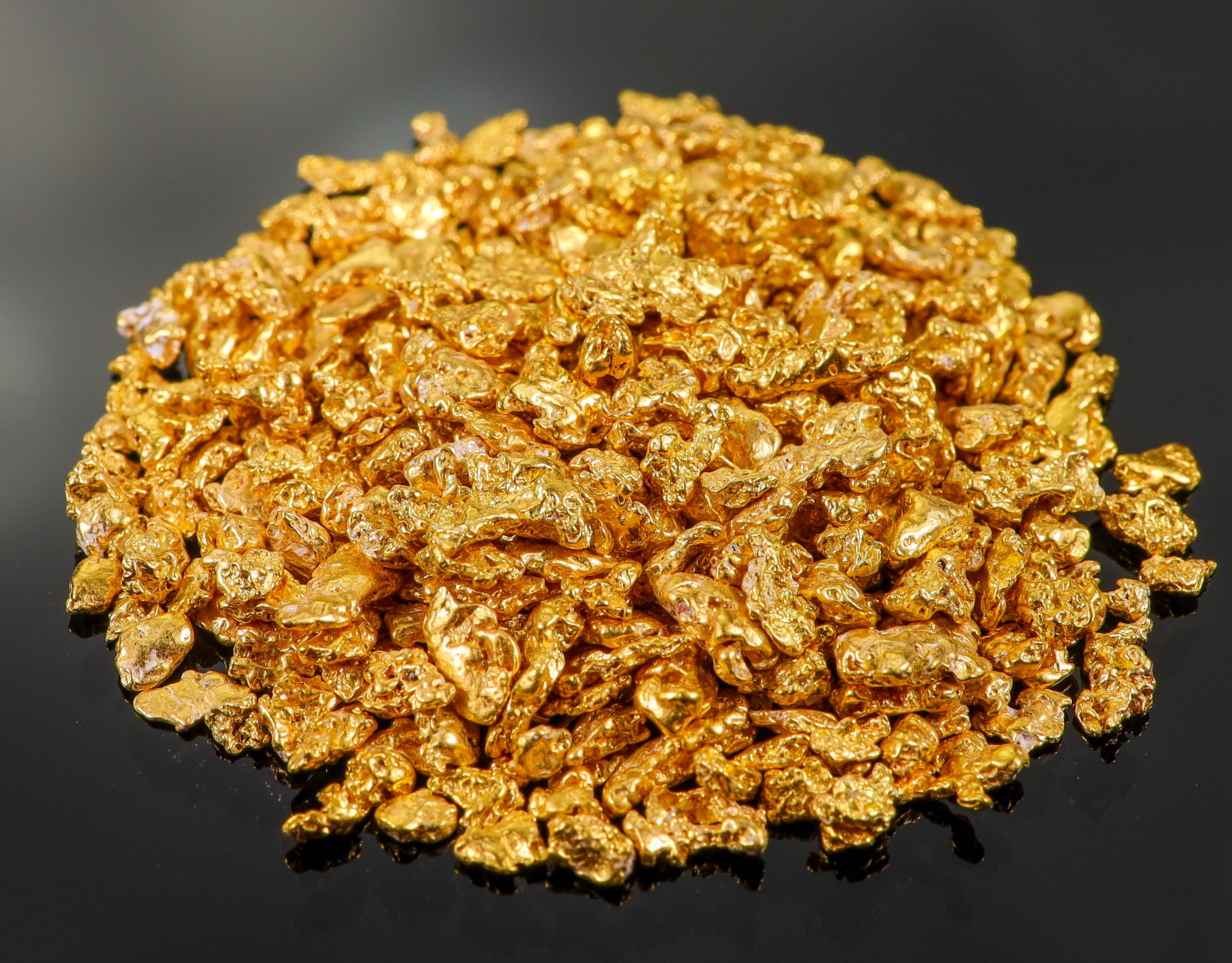 Todd Hoffman's Mammoth Valley Gold Rush Nuggets #25-14 Mesh 31.1 Grams of Fines