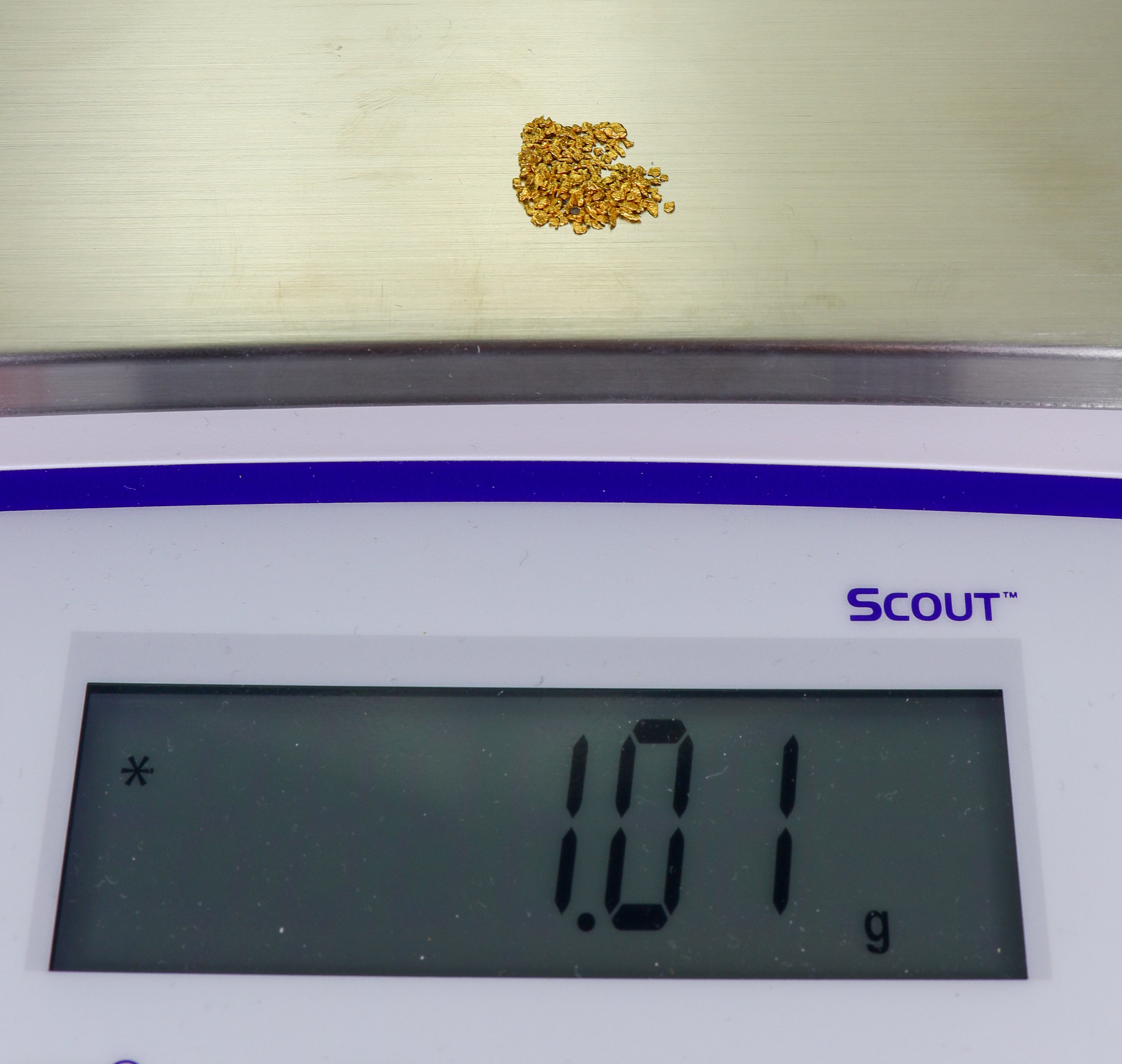 Todd Hoffman's Mammoth Valley Gold Rush Nuggets #25-14 Mesh 1 Gram of Fines