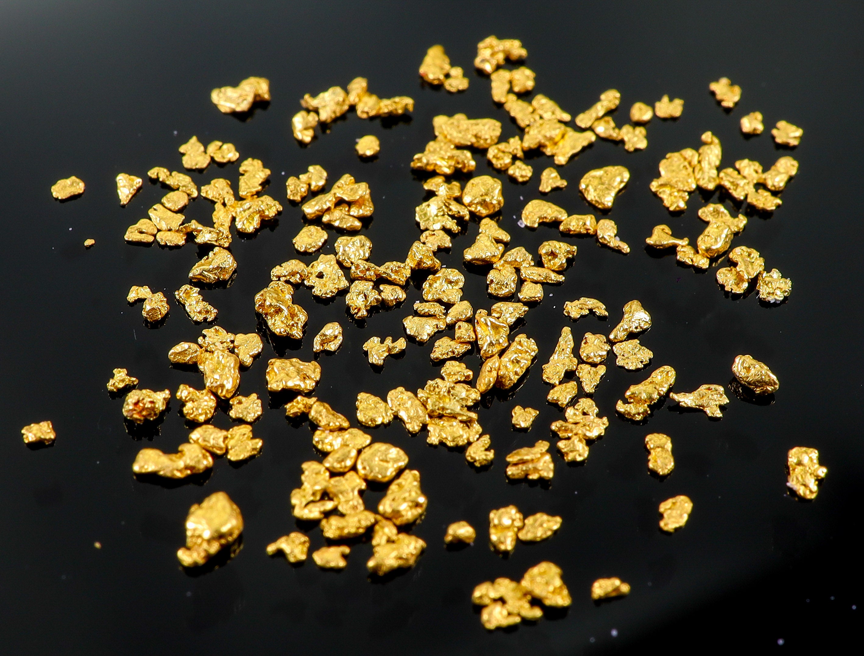 Todd Hoffman's Mammoth Valley Gold Rush Nuggets #25-14 Mesh 1 Gram of Fines
