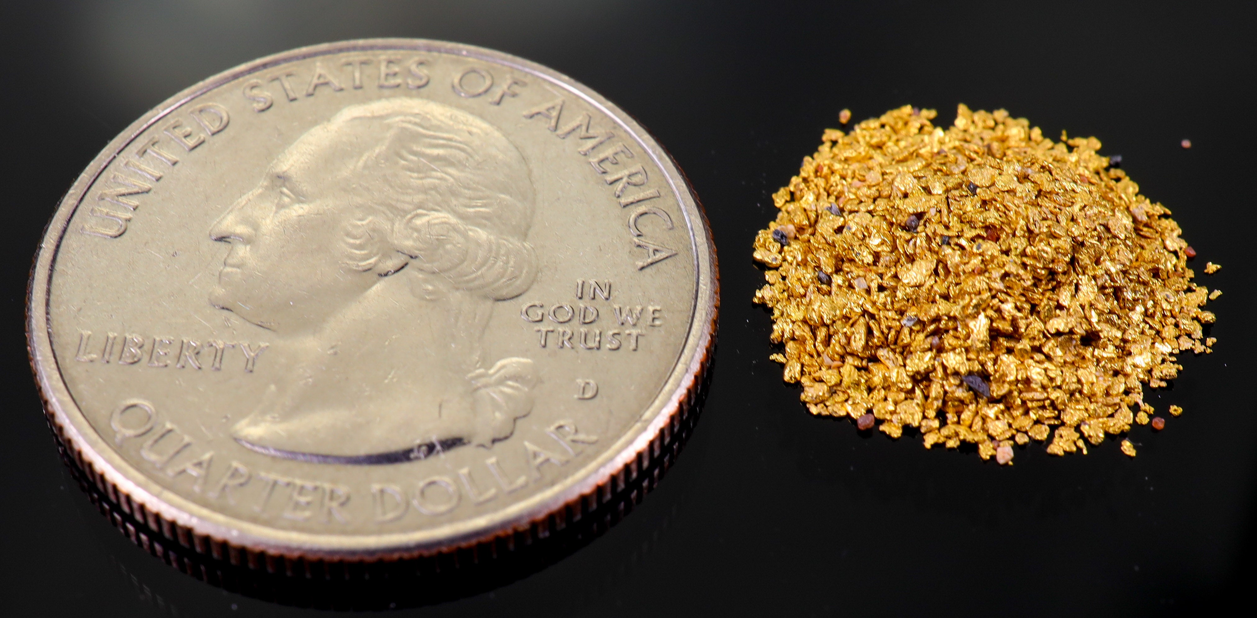 Todd Hoffman's Mammoth Valley Gold Rush Nuggets  #50-30 Mesh 2 Grams of Fines