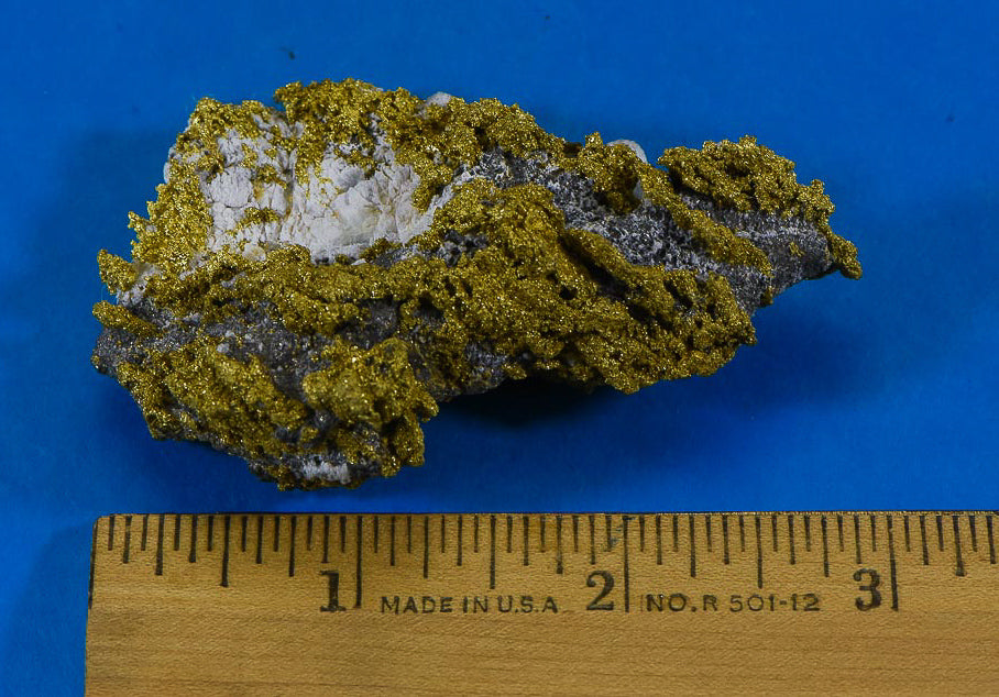 Large Gold Bearing Quartz Specimen Sierra Mining District California 113.10 Grams3.63 OZ Genuine