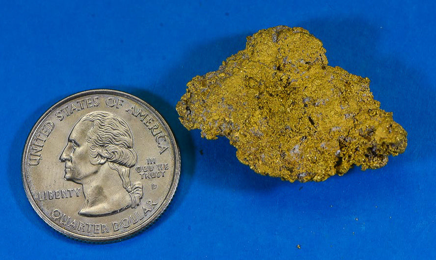 Large Gold Bearing Quartz Specimen Sierra Mining District California 16.42 Grams Genuine