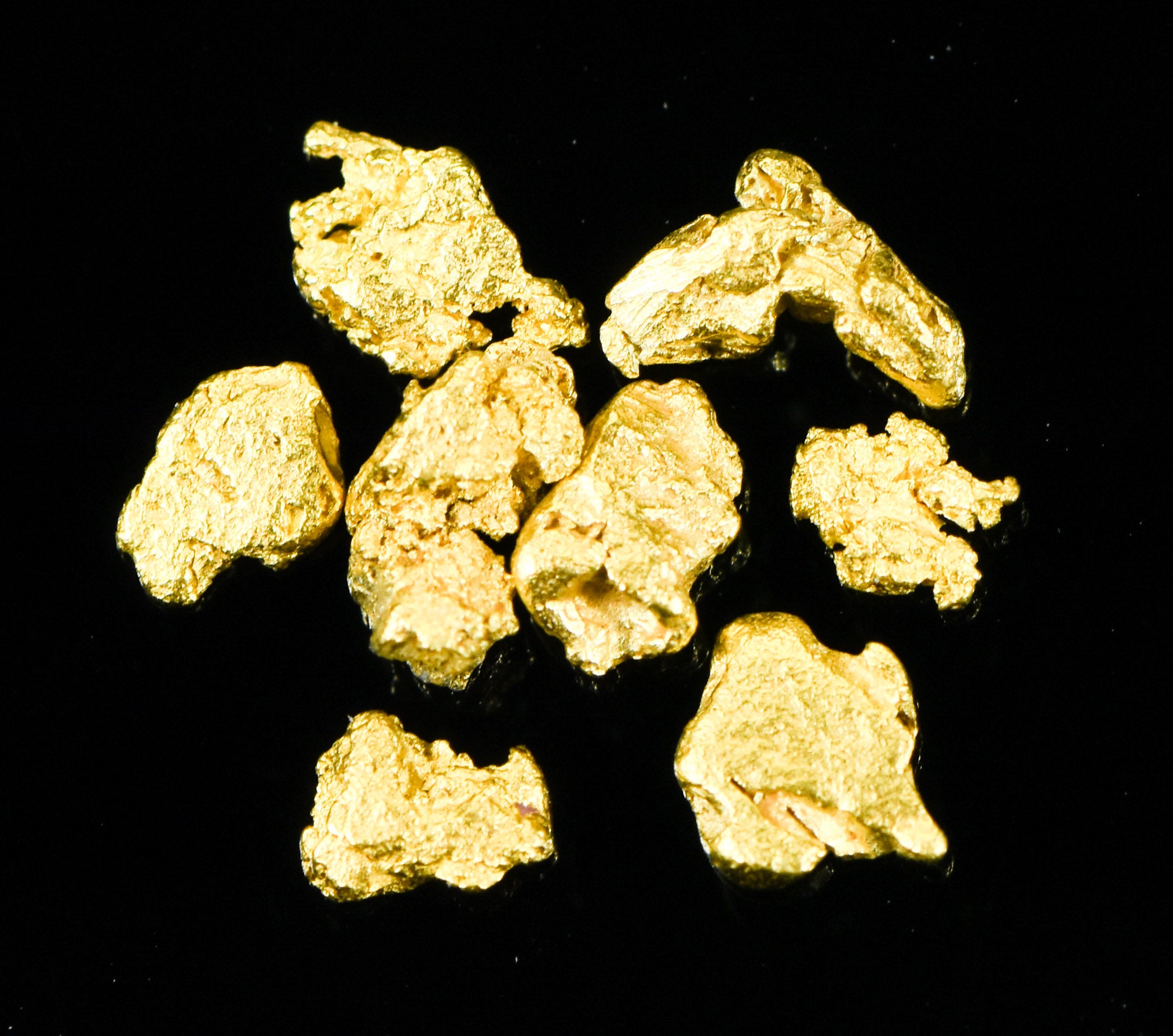Alaskan Yukon Gold Rush Nuggets #8 Mesh  1 Gram of Fines