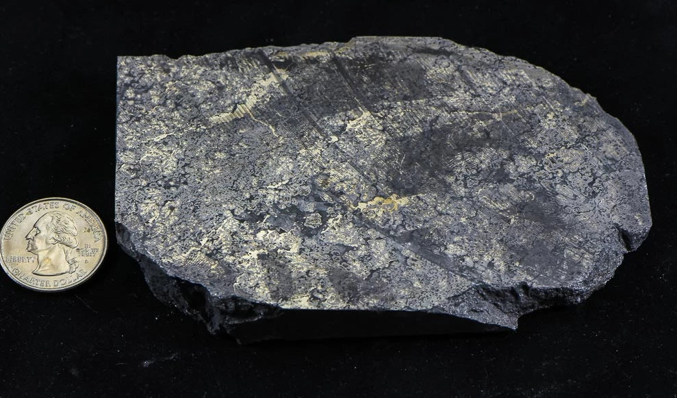 Nevada Silver Quartz Ore 390.26 Grams, 12.54 Troy Ounces Genuine