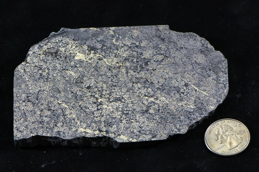 Nevada Silver Quartz Ore 390.26 Grams, 12.54 Troy Ounces Genuine