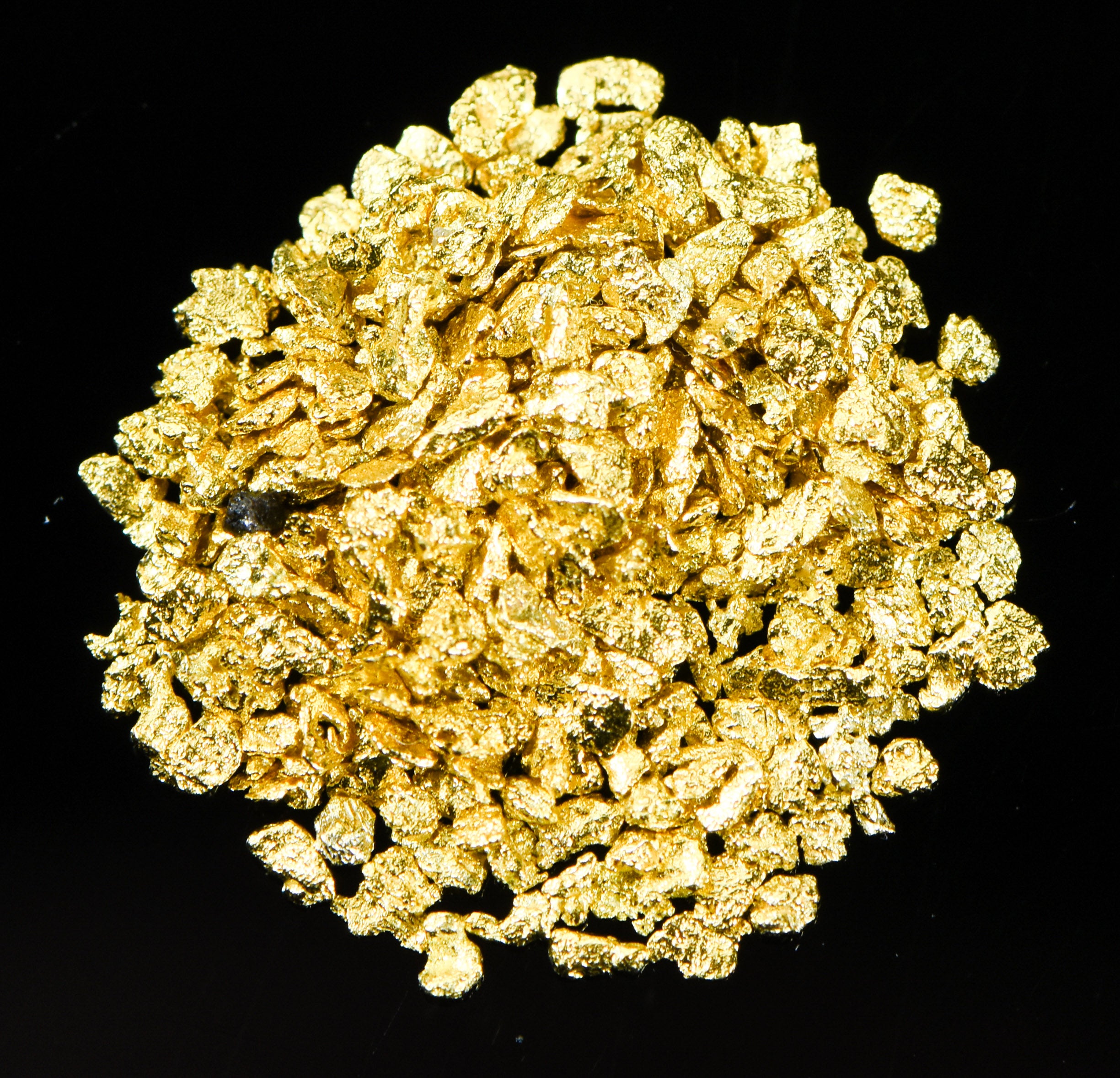 Alaskan Yukon Gold Rush Nuggets #20 Mesh .05 Troy Oz. 1.55 Grams or 1 DWT