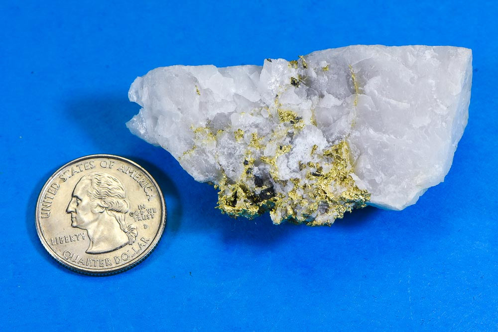 Large Gold Bearing Quartz Specimen Sierra Mining District California 58.60 Grams Genuine