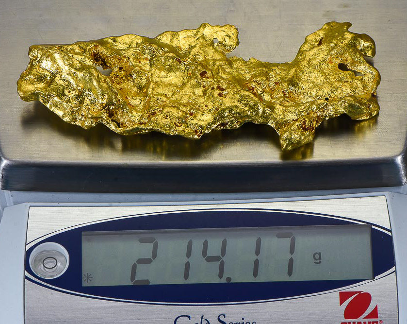 Large Natural Gold Nugget Australian "Fish" 214.17 Grams 6.88 Troy Ounces Very Rare