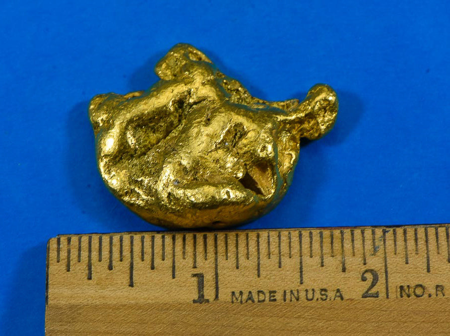 Large Alaskan BC Natural Gold Nugget "The Turtle" 50.31 Grams Genuine 1.61 Troy Ounces