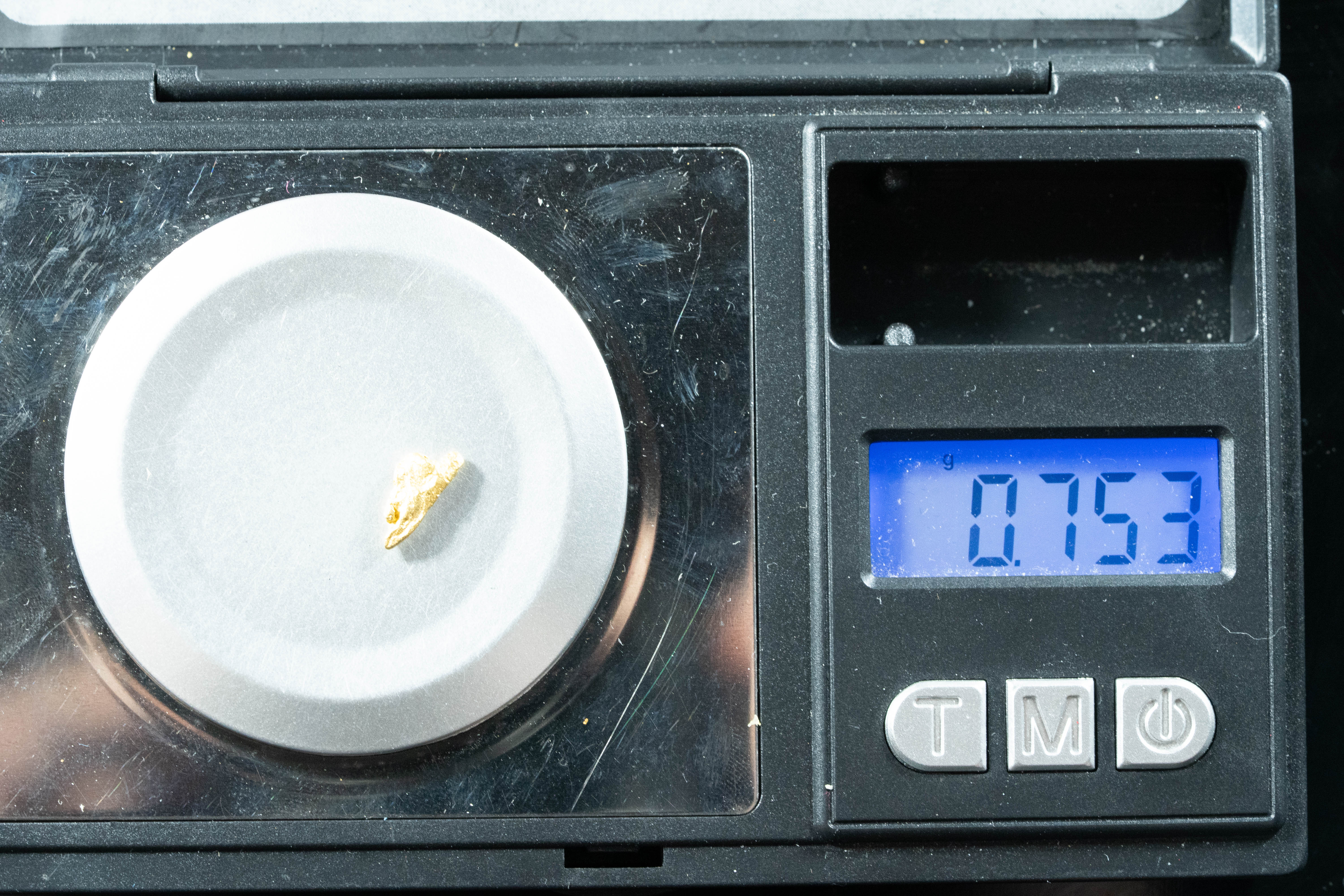 #4 Alaskan BC Natural Gold Nugget .75 Grams Genuine