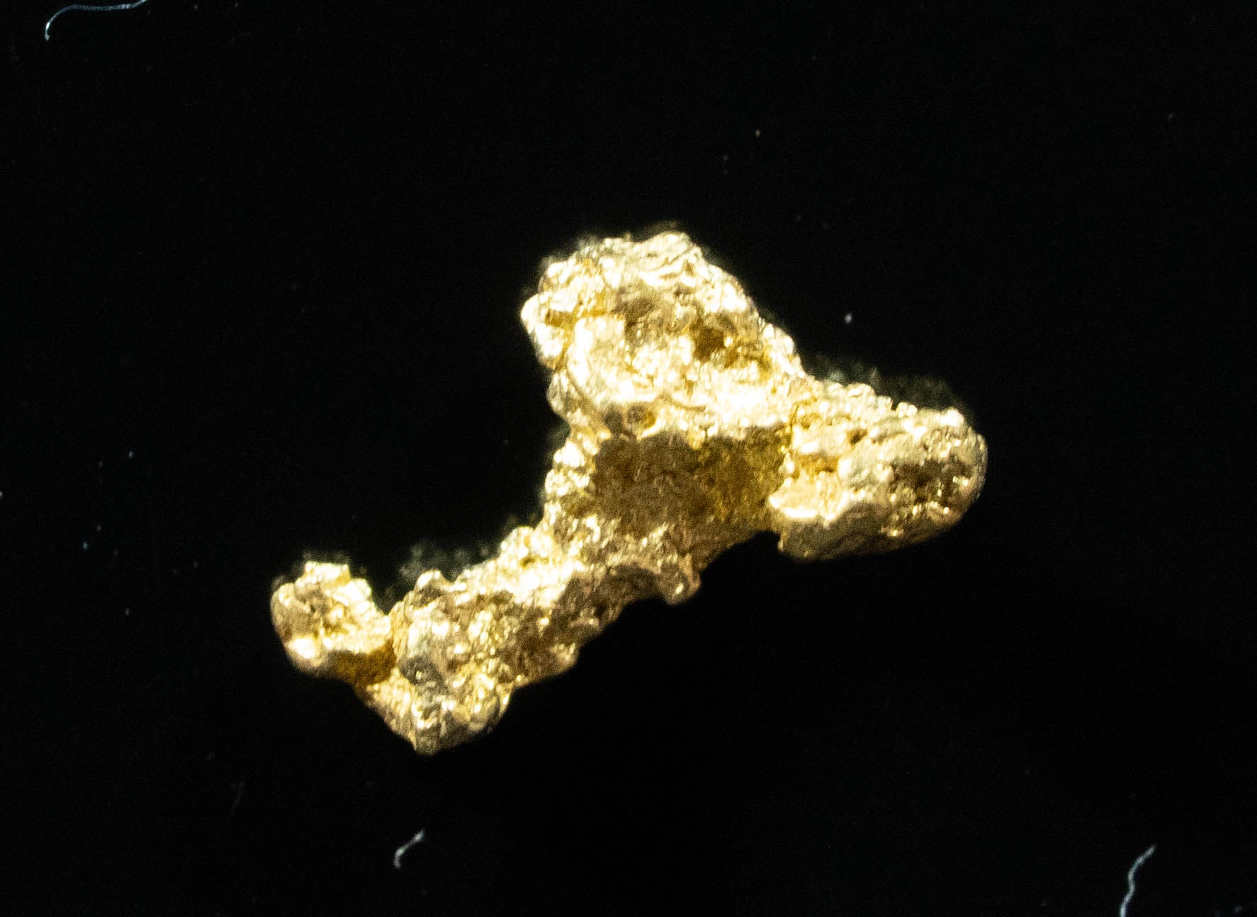 #11 Alaskan BC Natural Gold Nugget .50 Grams Genuine