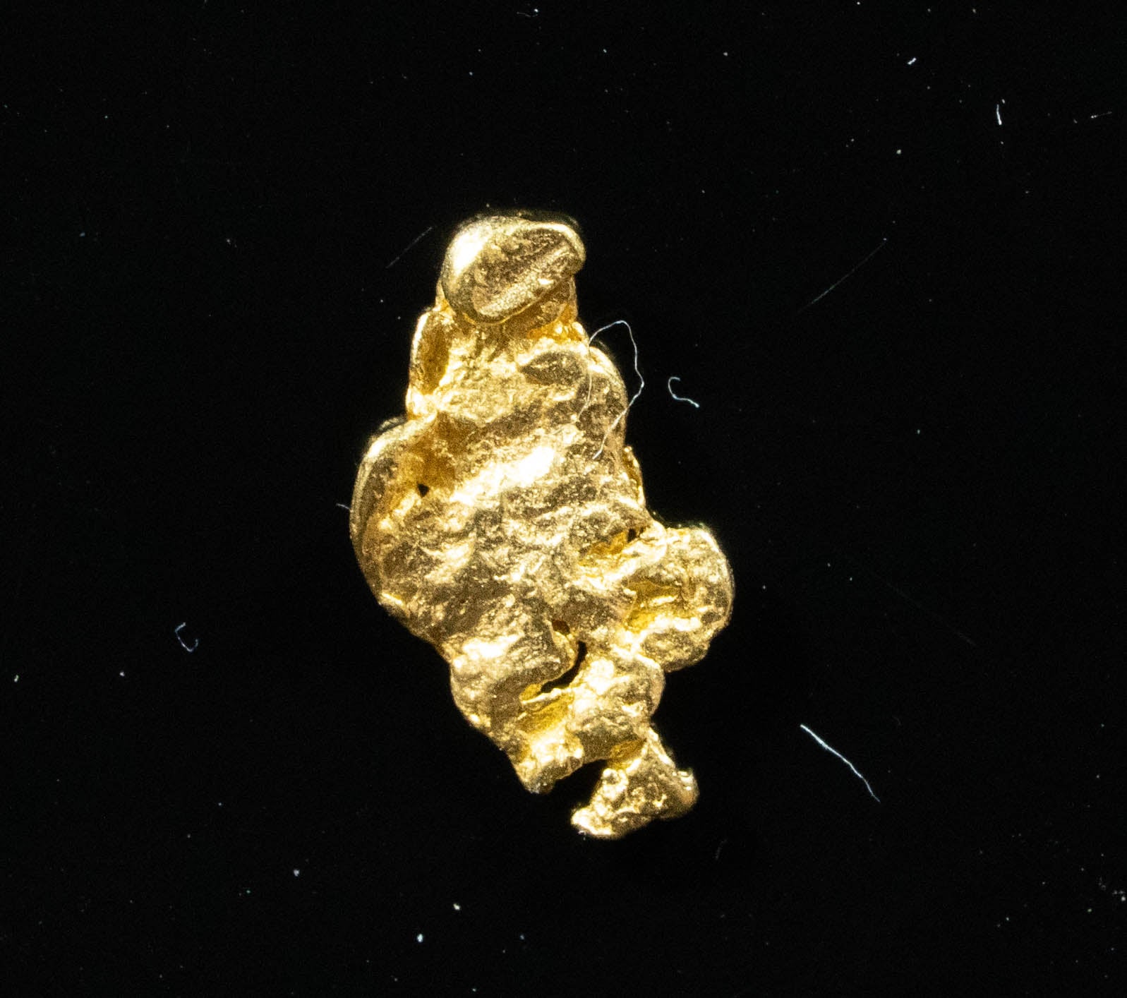 #14 Alaskan BC Natural Gold Nugget .36 Grams Genuine