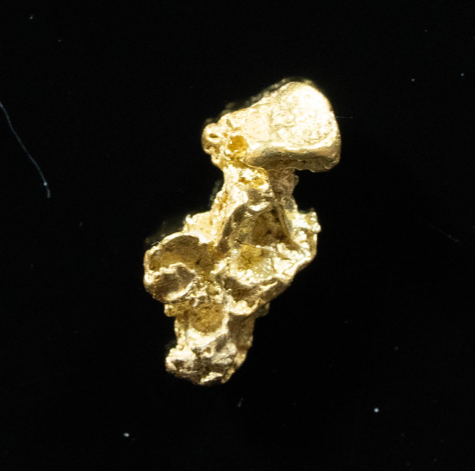 #21 Alaskan BC Natural Gold Nugget .57 Grams Genuine