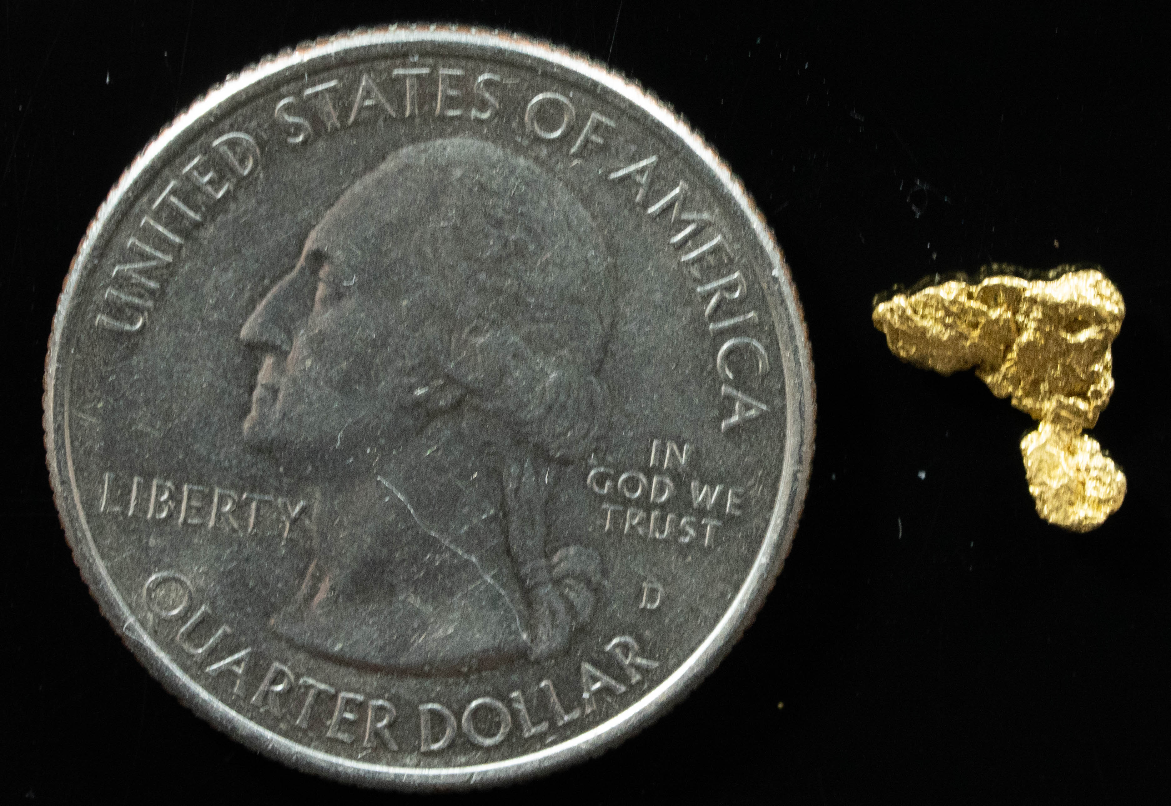#32 Alaskan BC Natural Gold Nugget .34 Grams Genuine