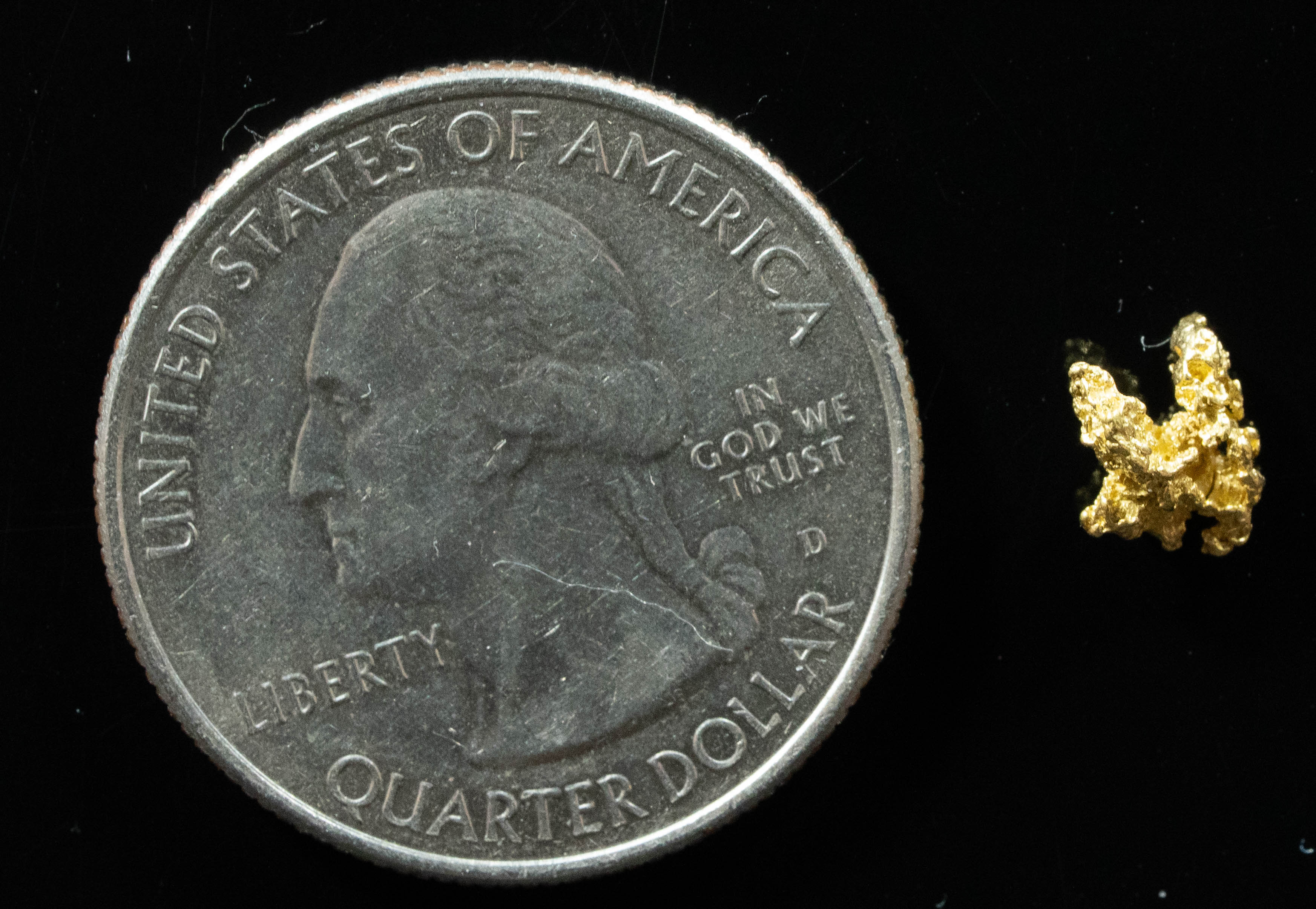 #36 Alaskan BC Natural Gold Nugget .36 Grams Genuine