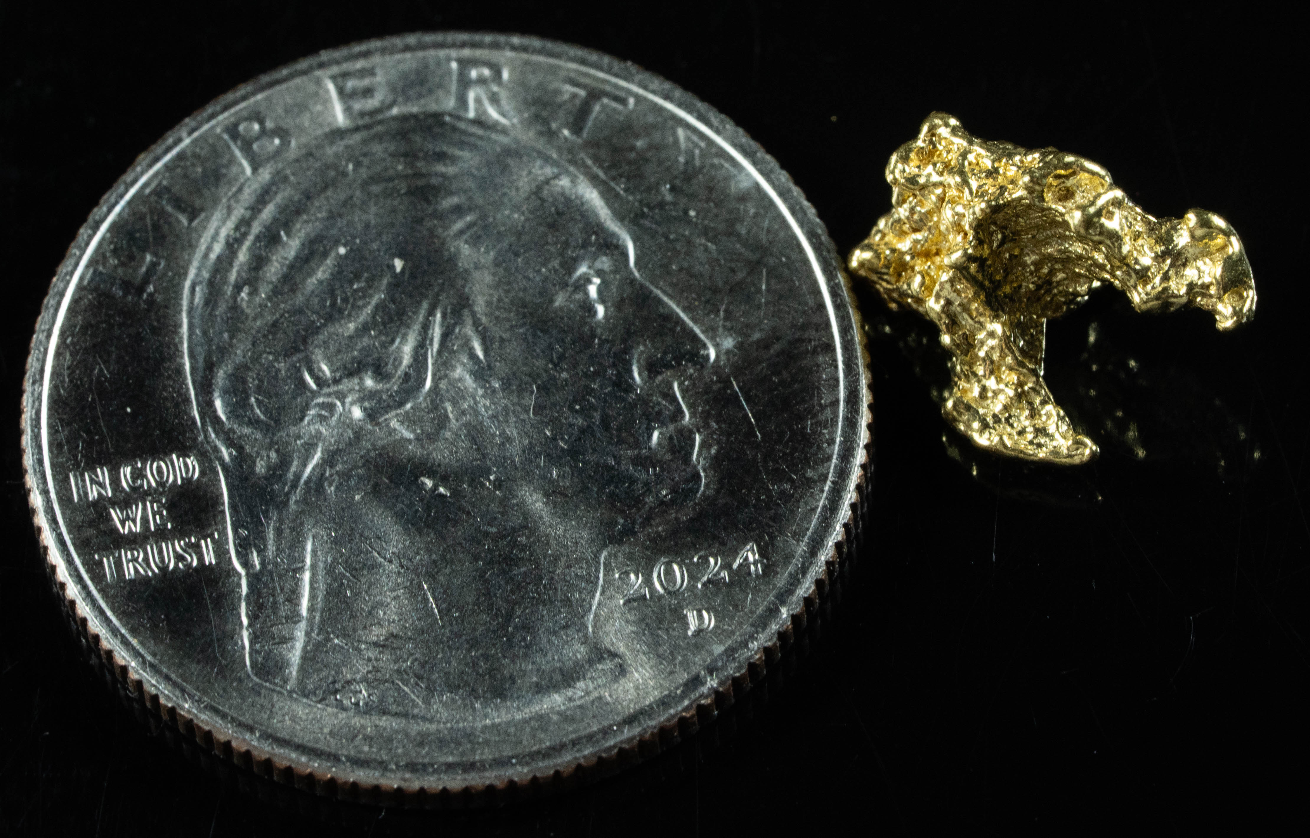 #130 Alaskan BC Natural Gold Nugget 1.61 Grams Genuine