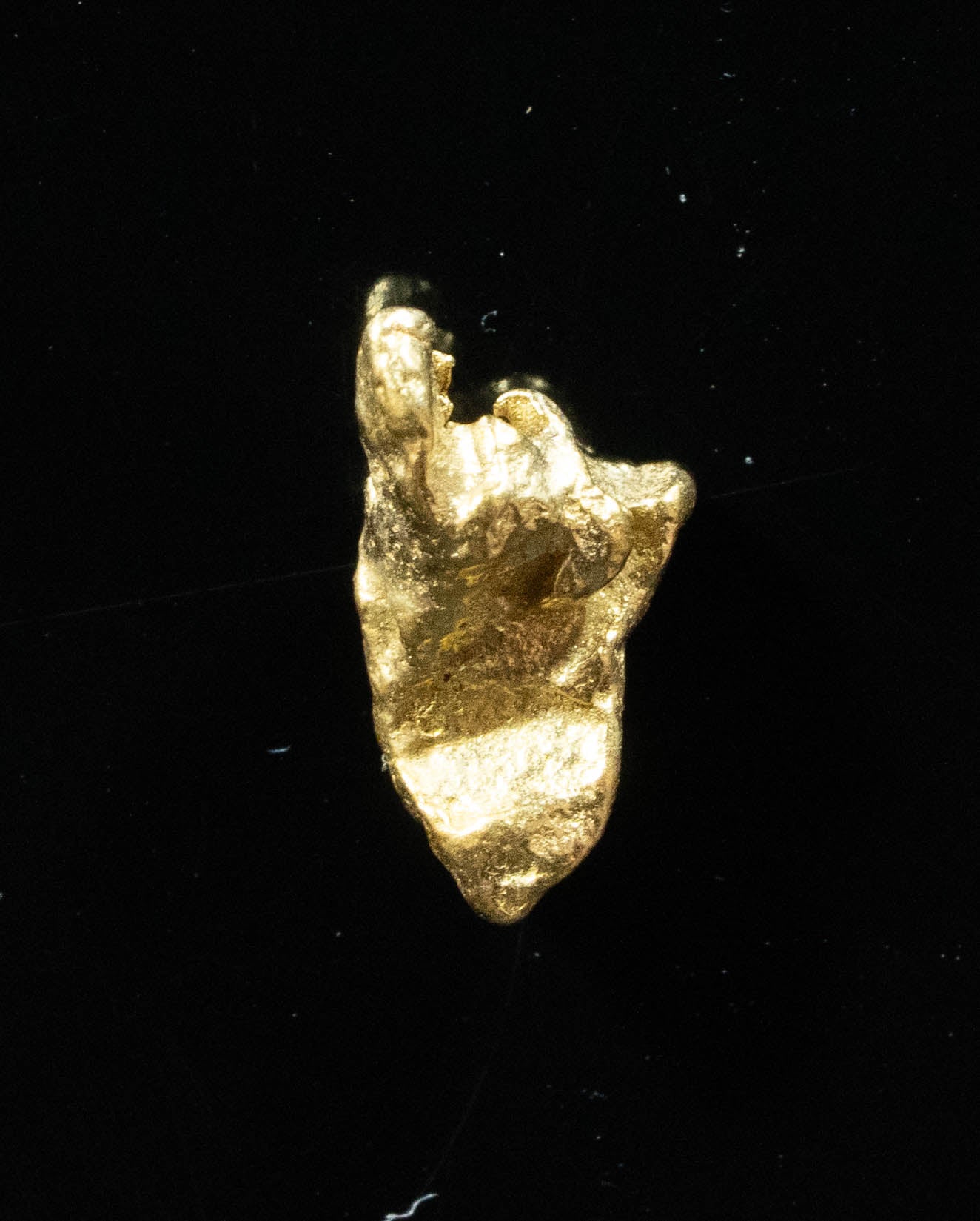 #43 Alaskan BC Natural Gold Nugget .61 Grams Genuine
