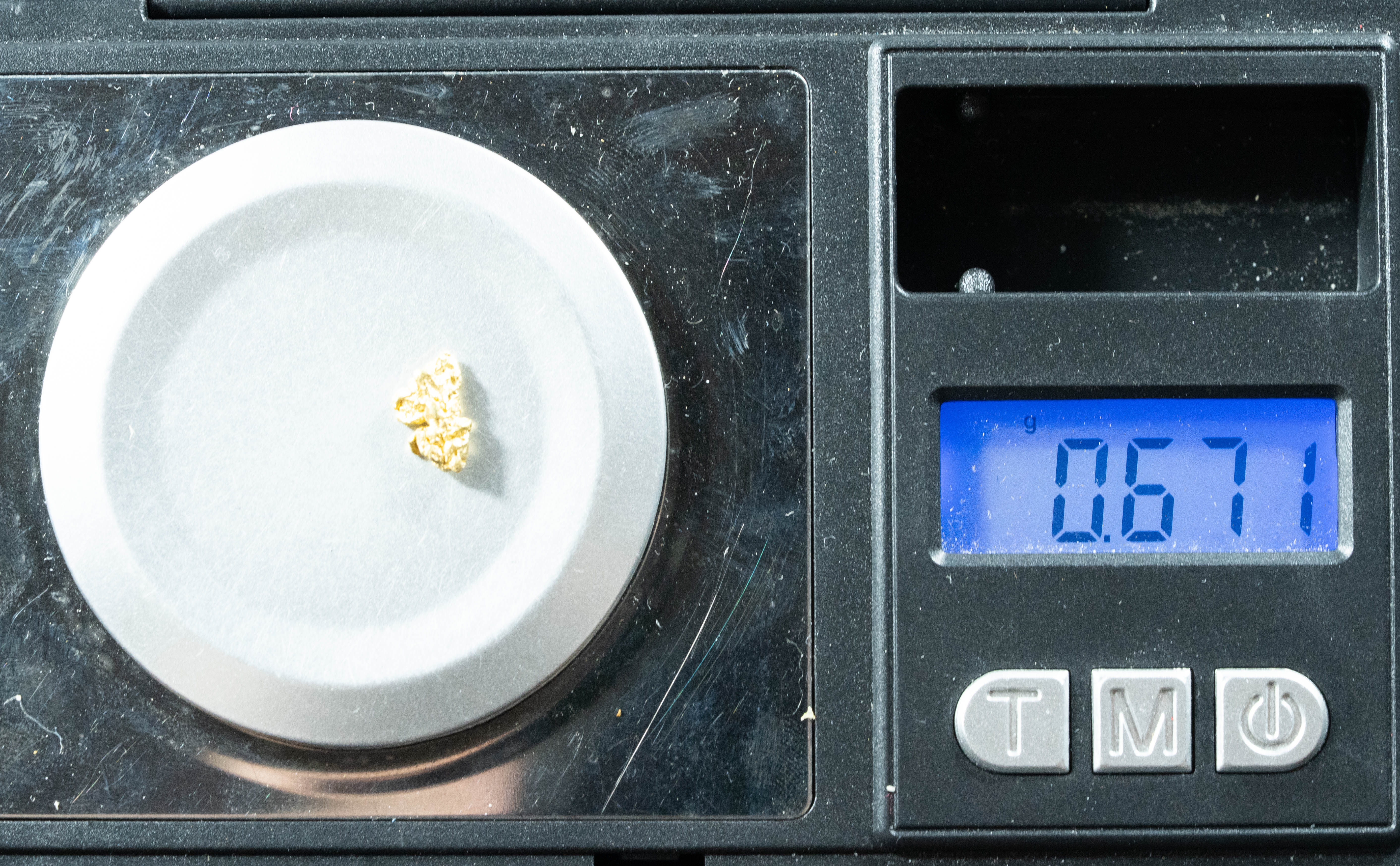 #44 Alaskan BC Natural Gold Nugget .67 Grams Genuine