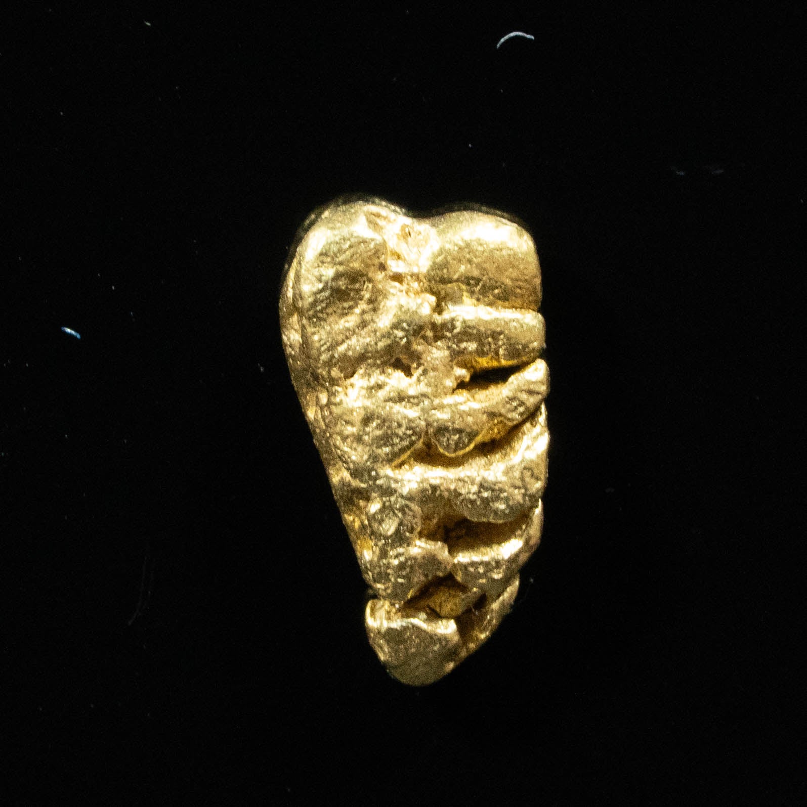 #48 Alaskan BC Natural Gold Nugget .61 Grams Genuine