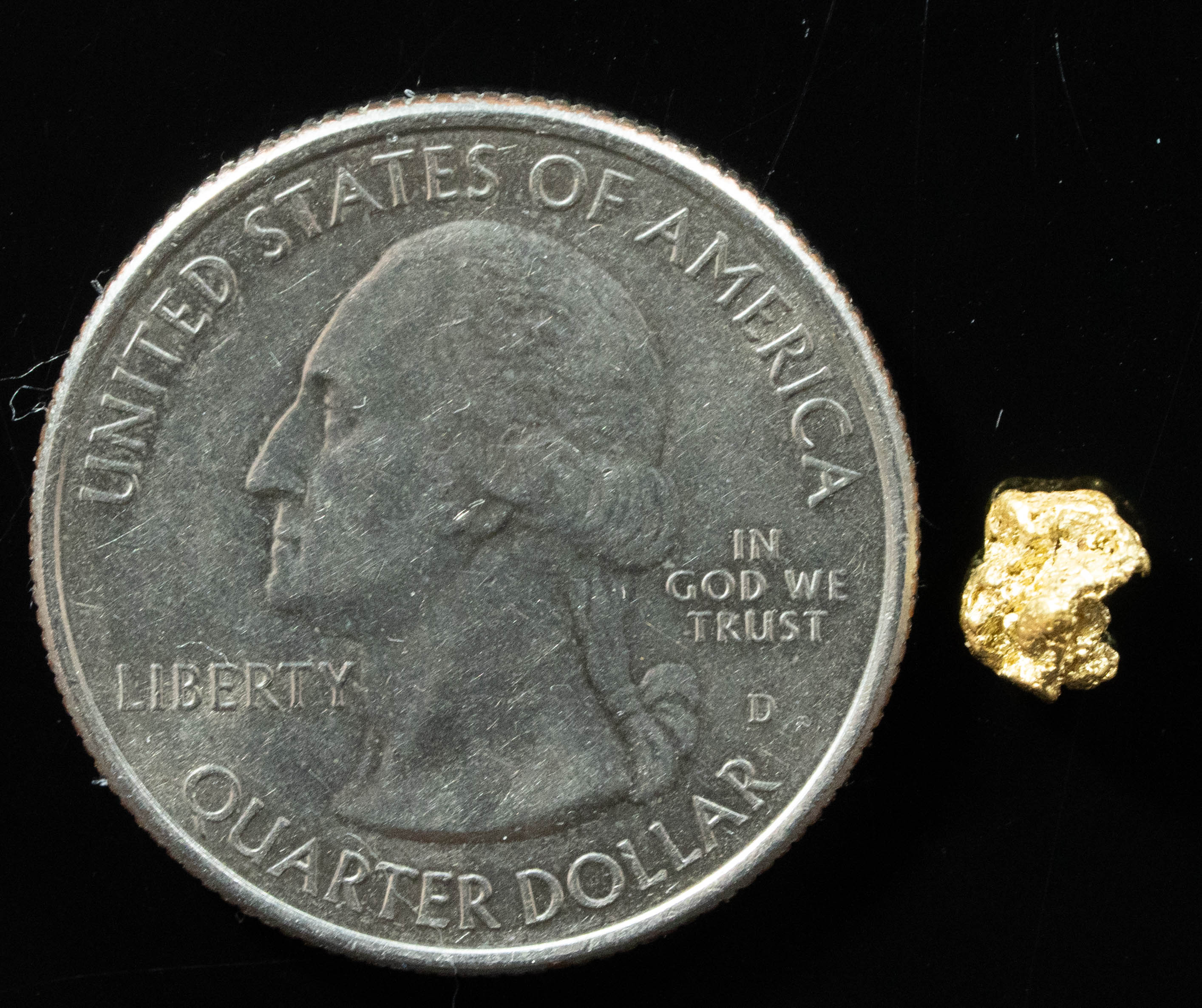 #77 Alaskan BC Natural Gold Nugget .41 Grams Genuine