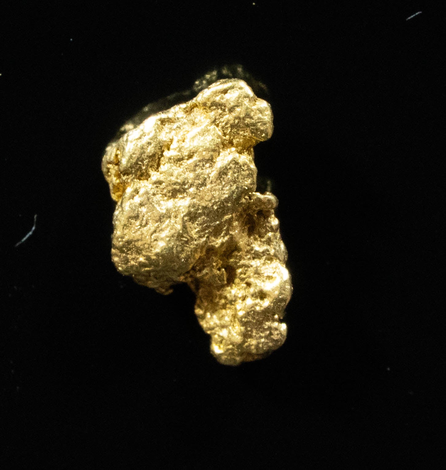 #82 Alaskan BC Natural Gold Nugget .51 Grams Genuine