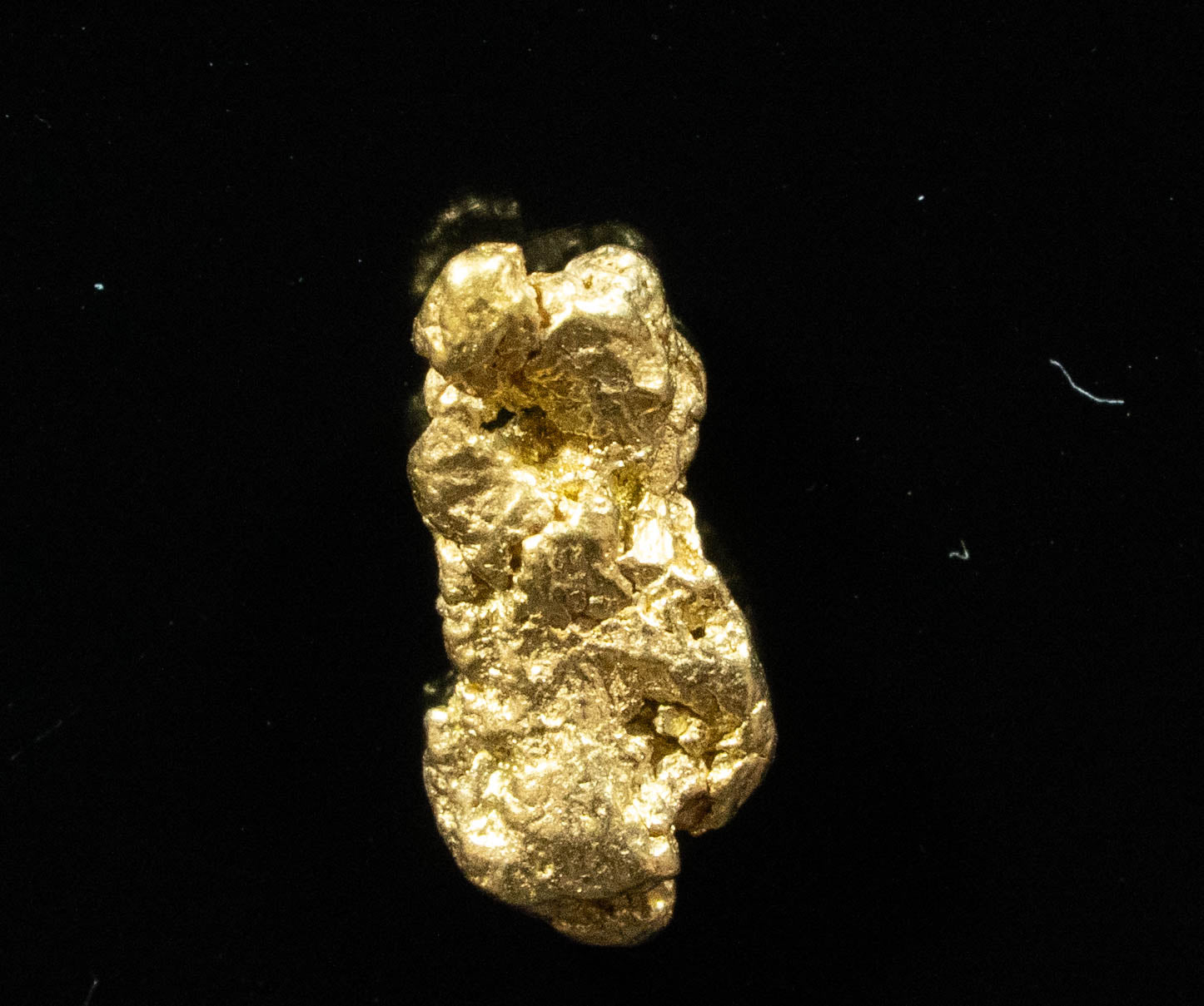 #83 Alaskan BC Natural Gold Nugget .45 Grams Genuine