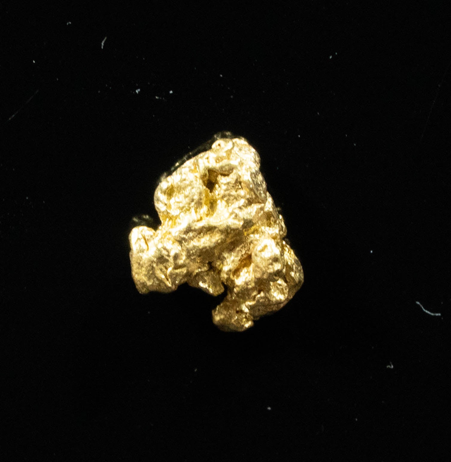 #86 Alaskan BC Natural Gold Nugget .44 Grams Genuine