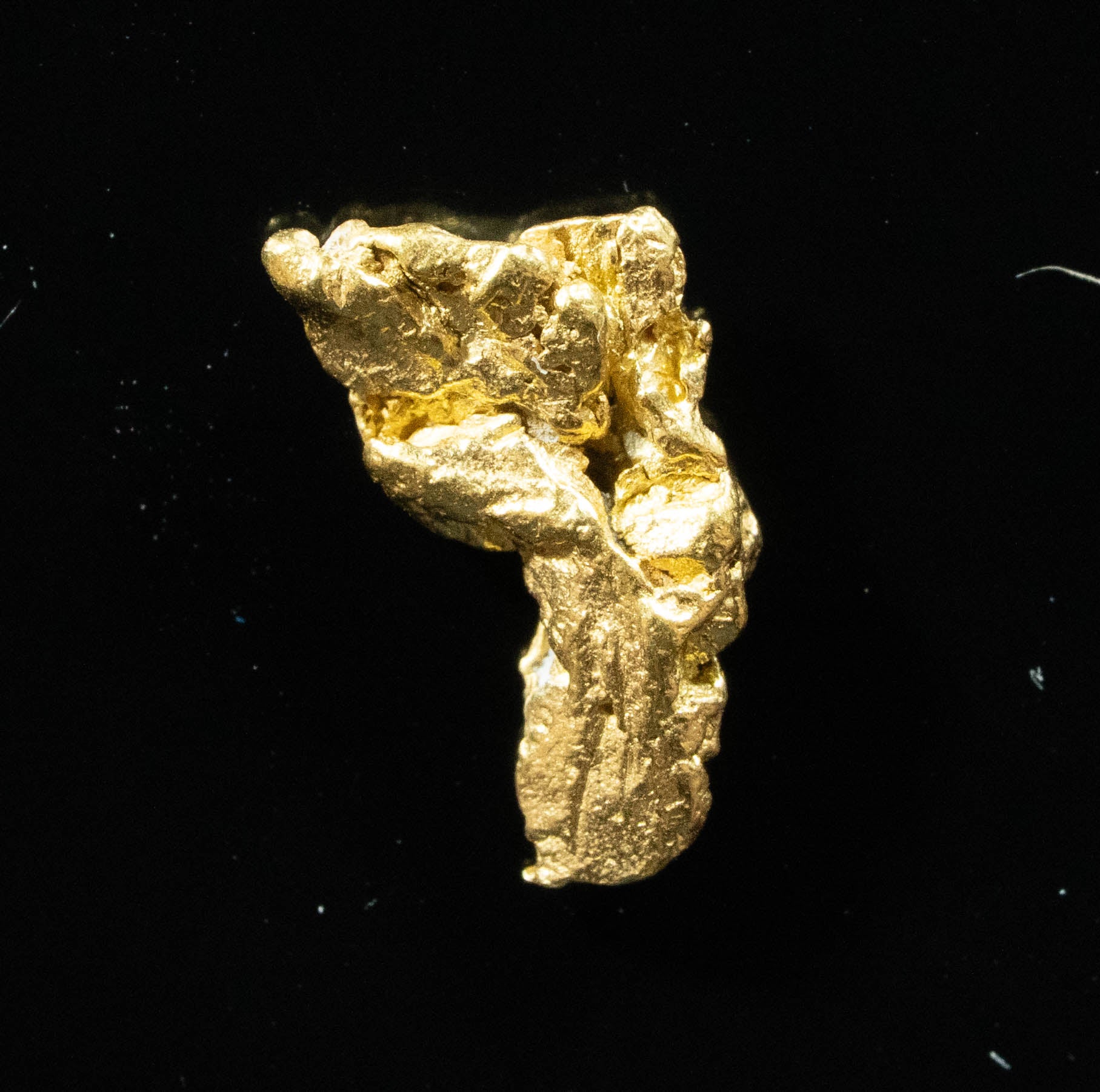 #99 Alaskan BC Natural Gold Nugget .77 Grams Genuine