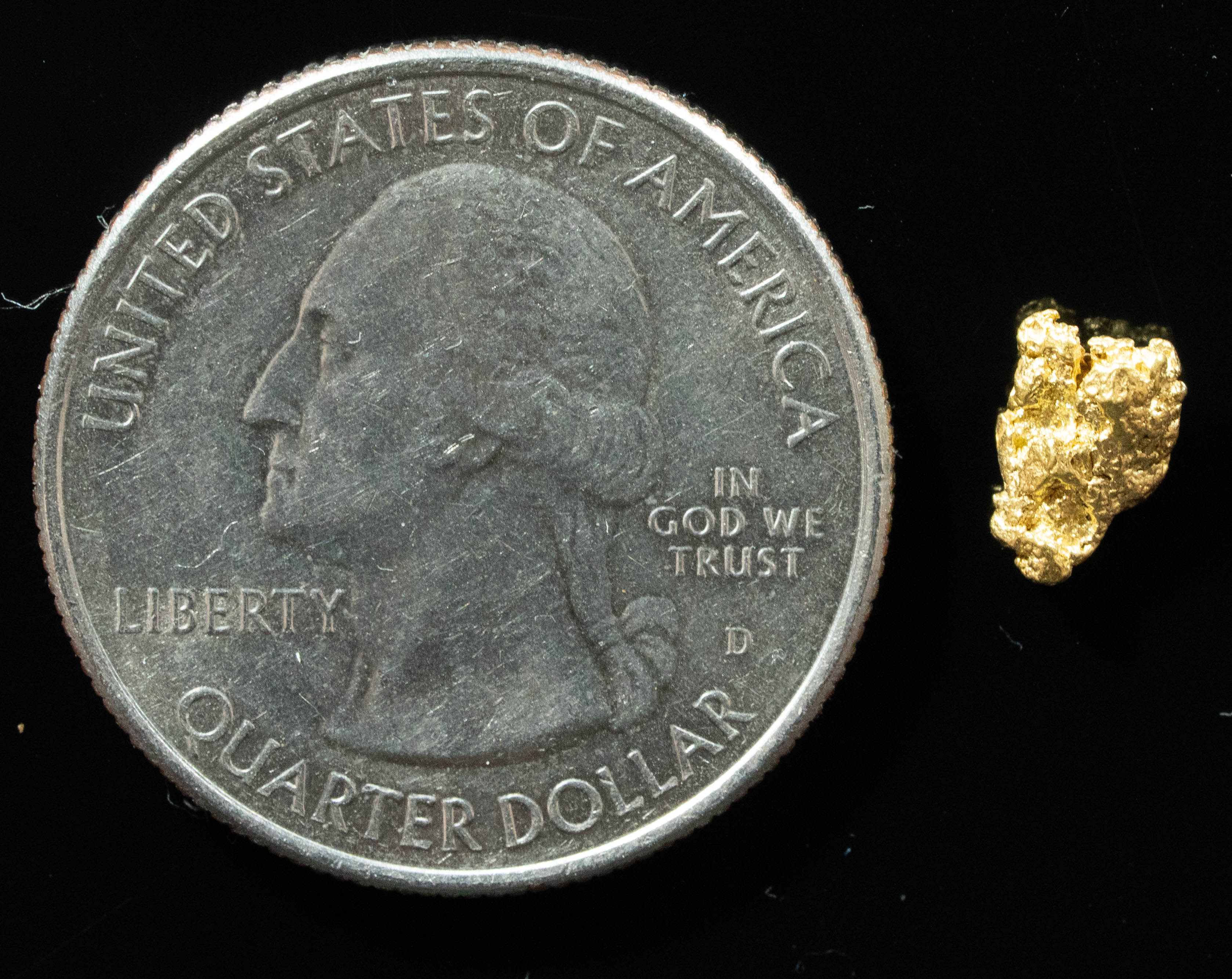 #101 Alaskan BC Natural Gold Nugget .49 Grams Genuine