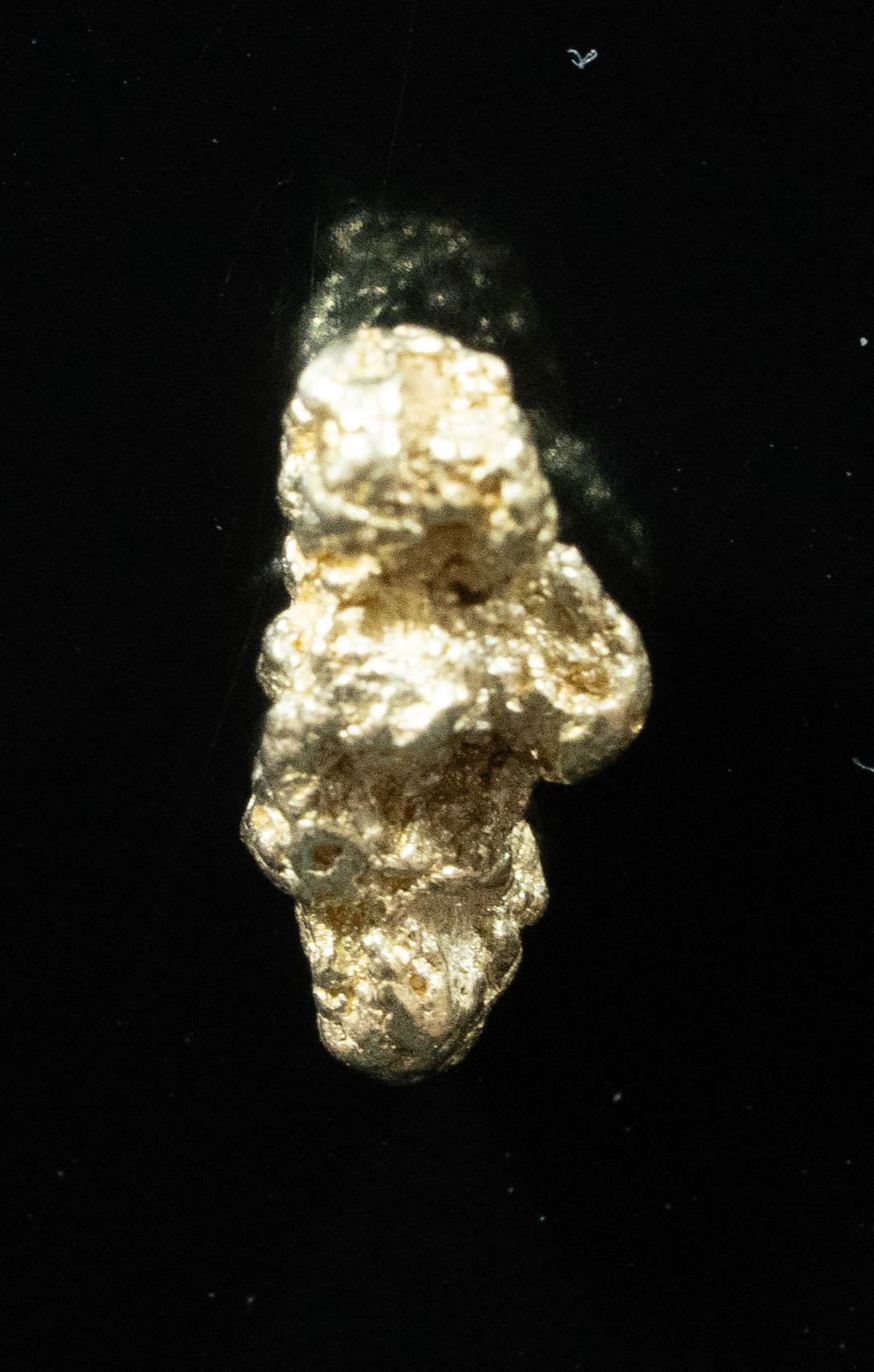 #113 Alaskan BC Natural Gold Nugget .88 Grams Genuine