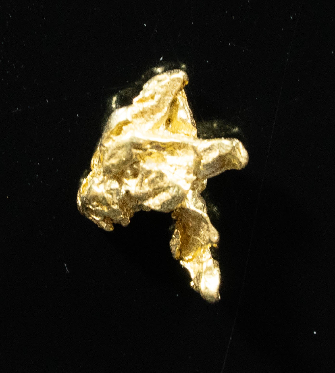 #116 Alaskan BC Natural Gold Nugget .84 Grams Genuine