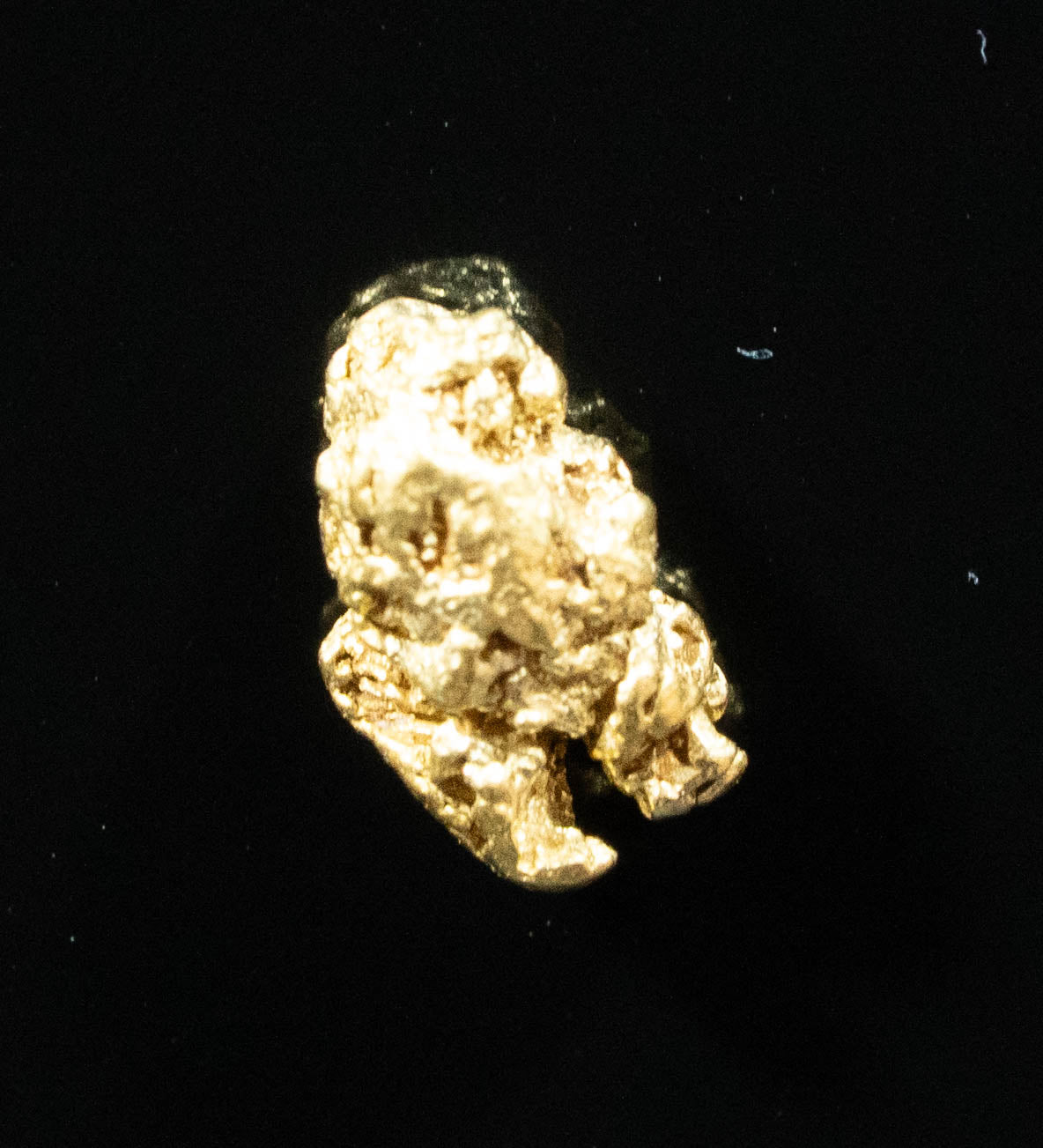 #147 Alaskan BC Natural Gold Nugget .56 Grams Genuine