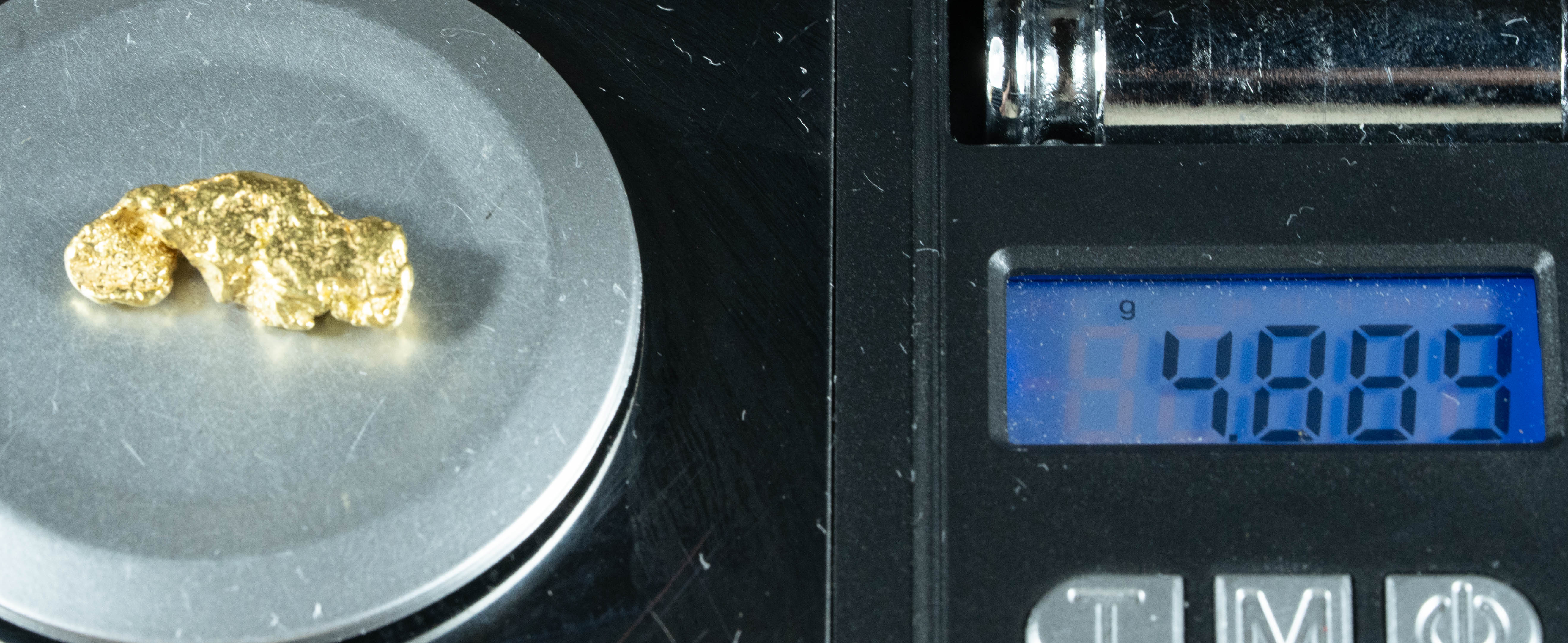 #237 Alaskan BC Natural Gold Nugget 4.88 Grams Genuine