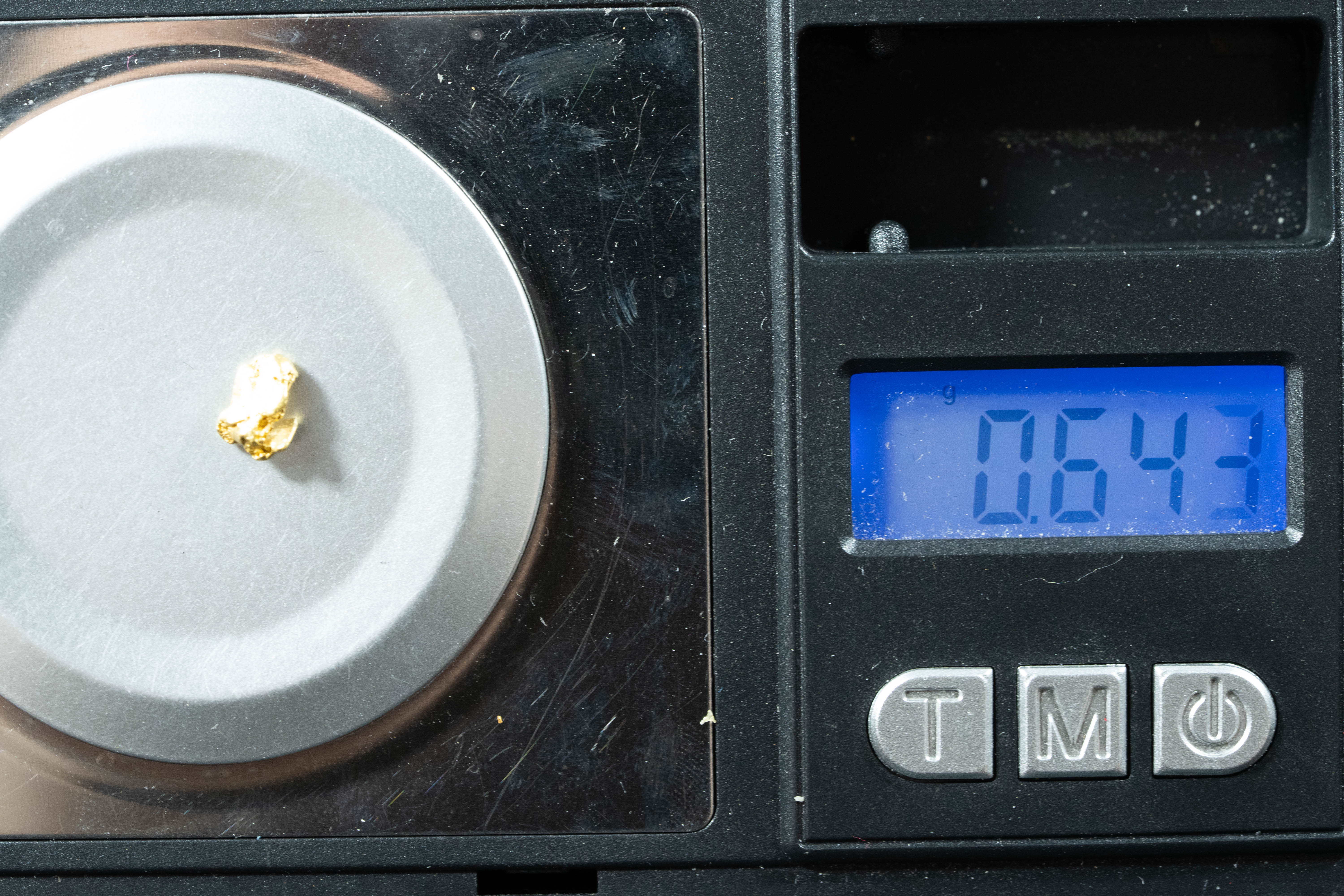 #157 Alaskan BC Natural Gold Nugget .64 Grams Genuine