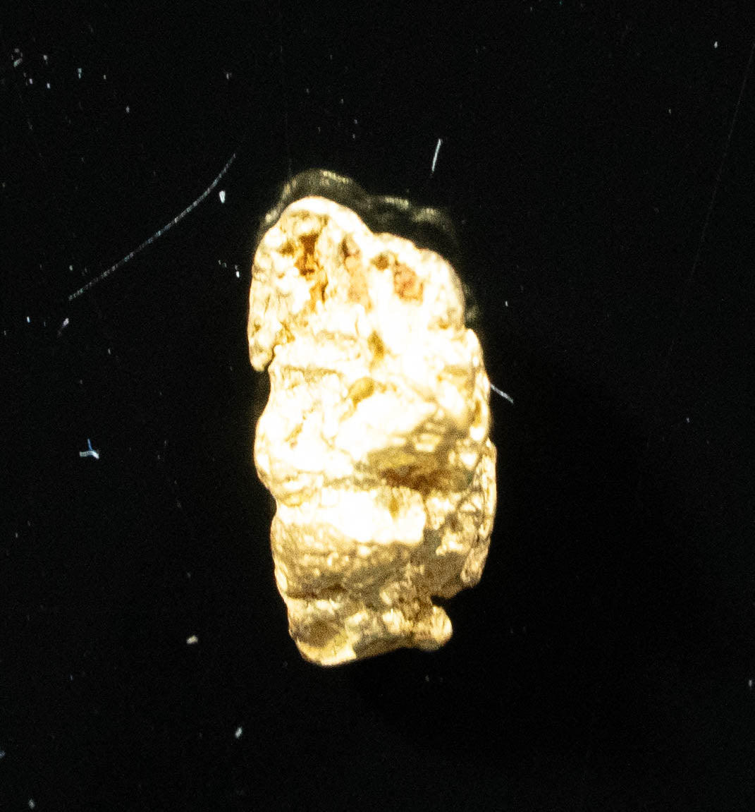 #172 Alaskan BC Natural Gold Nugget .39 Grams Genuine