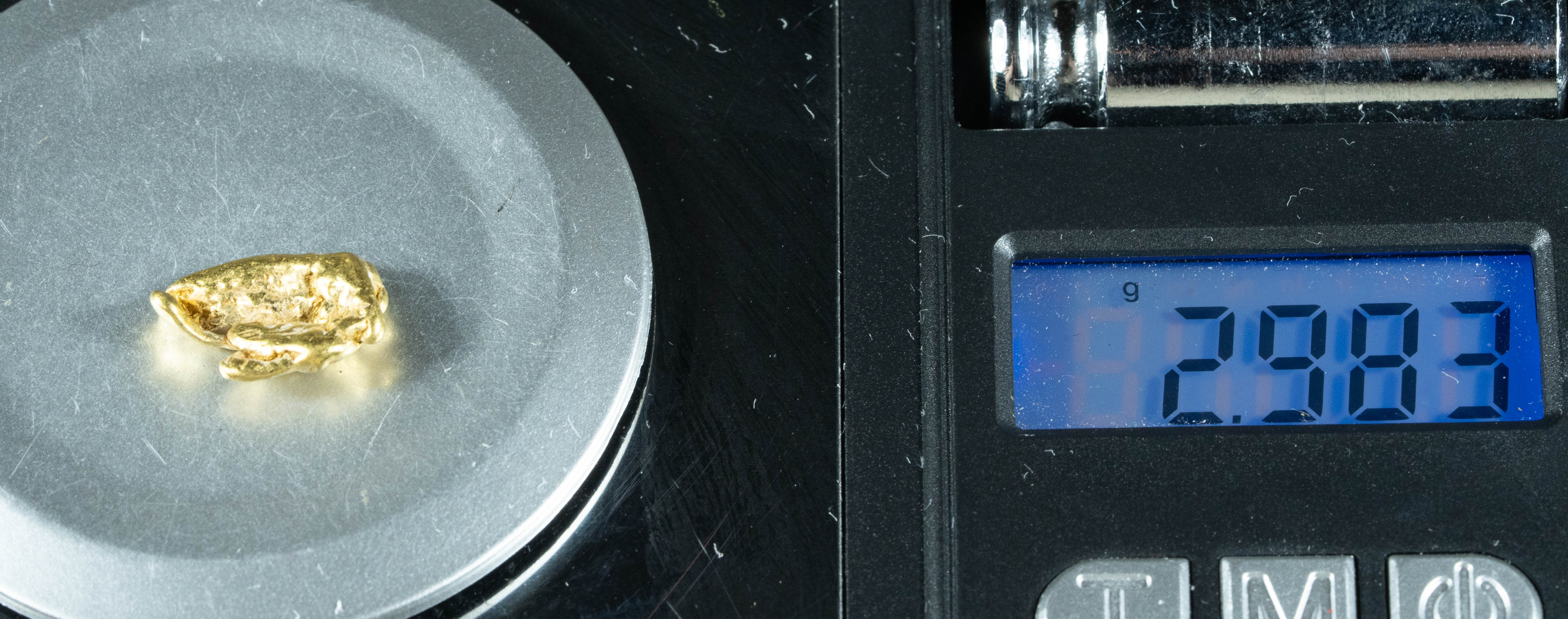 #265 Alaskan BC Natural Gold Nugget 2.98 Grams Genuine