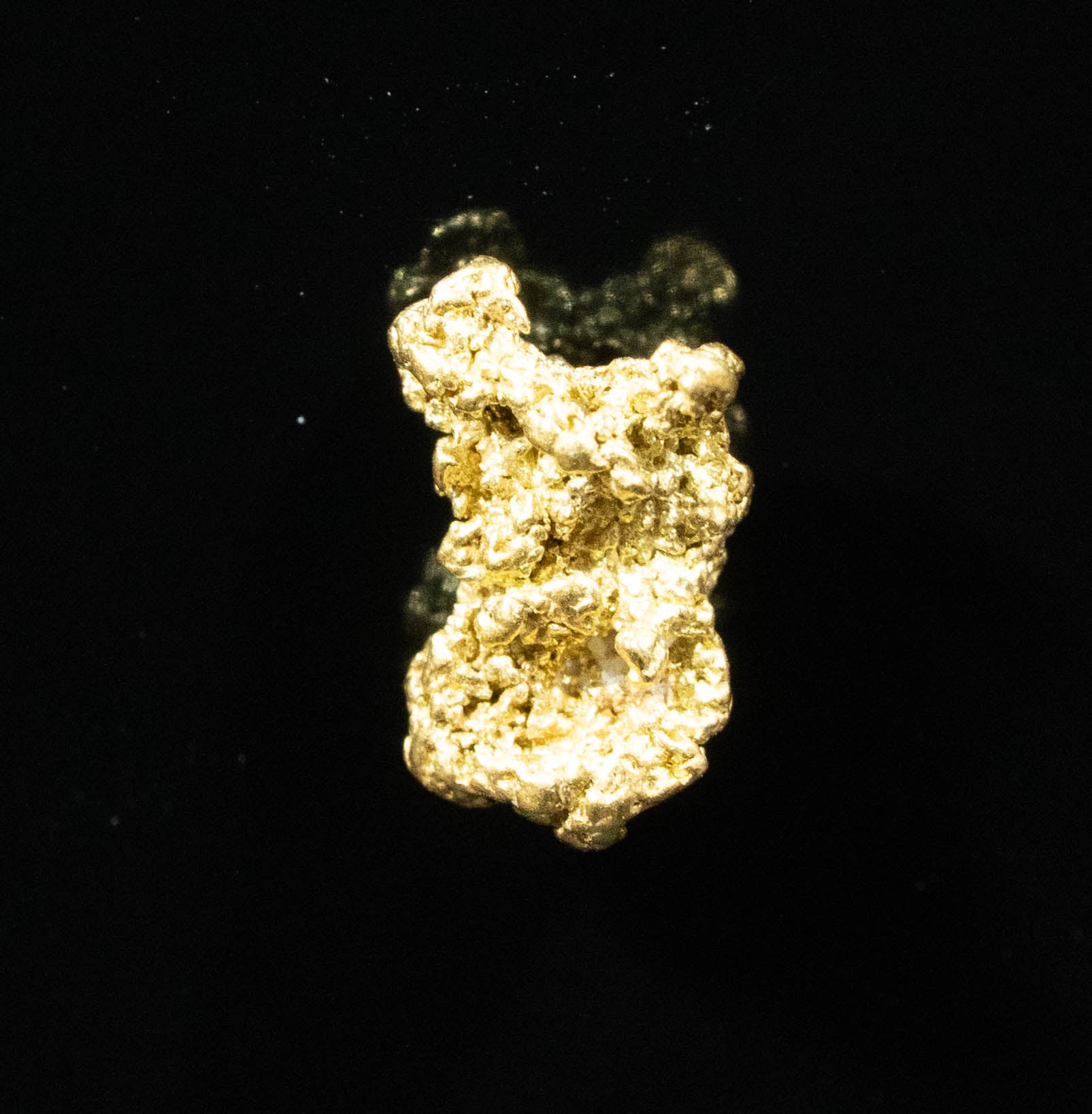 #177 Alaskan BC Natural Gold Nugget .57 Grams Genuine