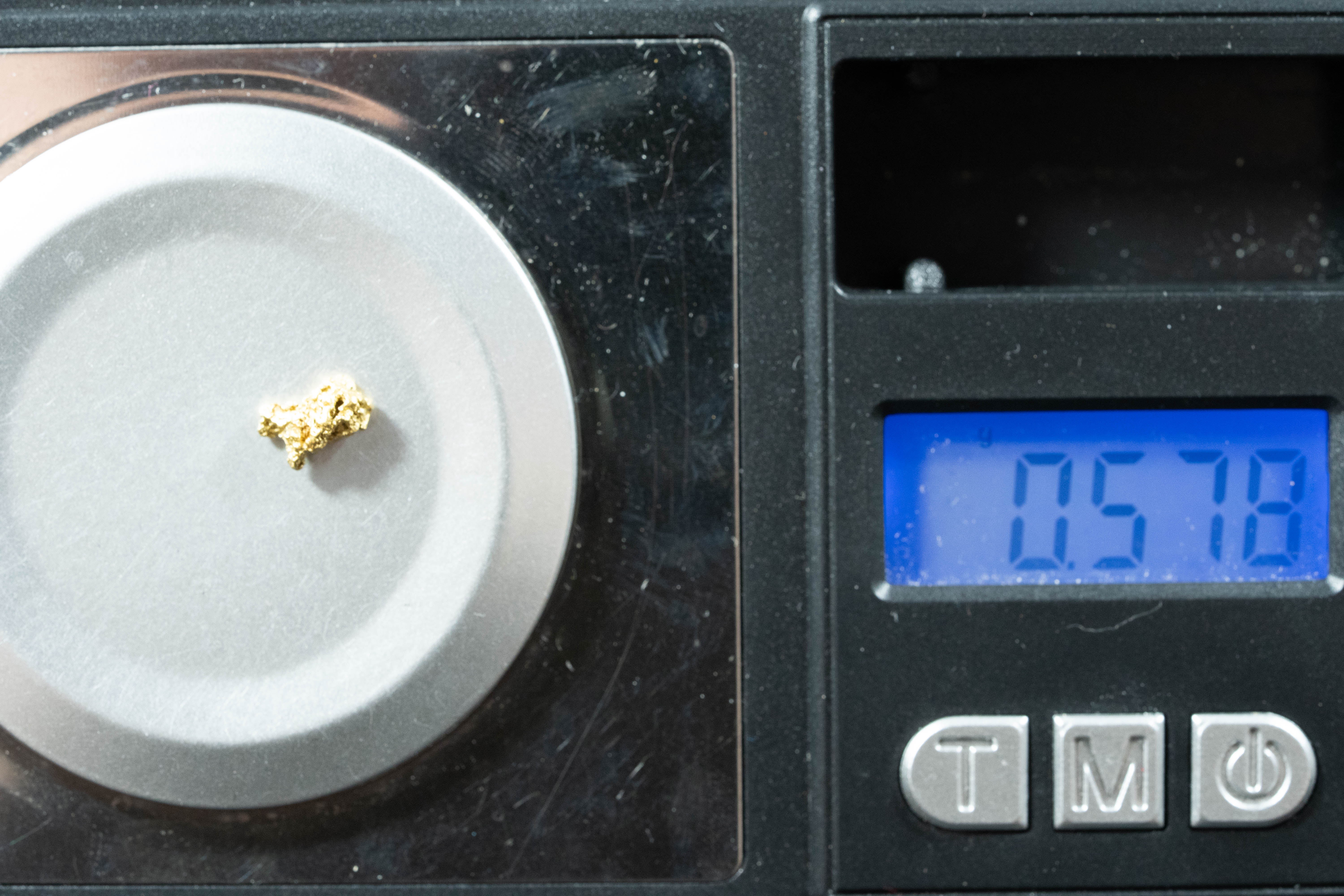 #177 Alaskan BC Natural Gold Nugget .57 Grams Genuine