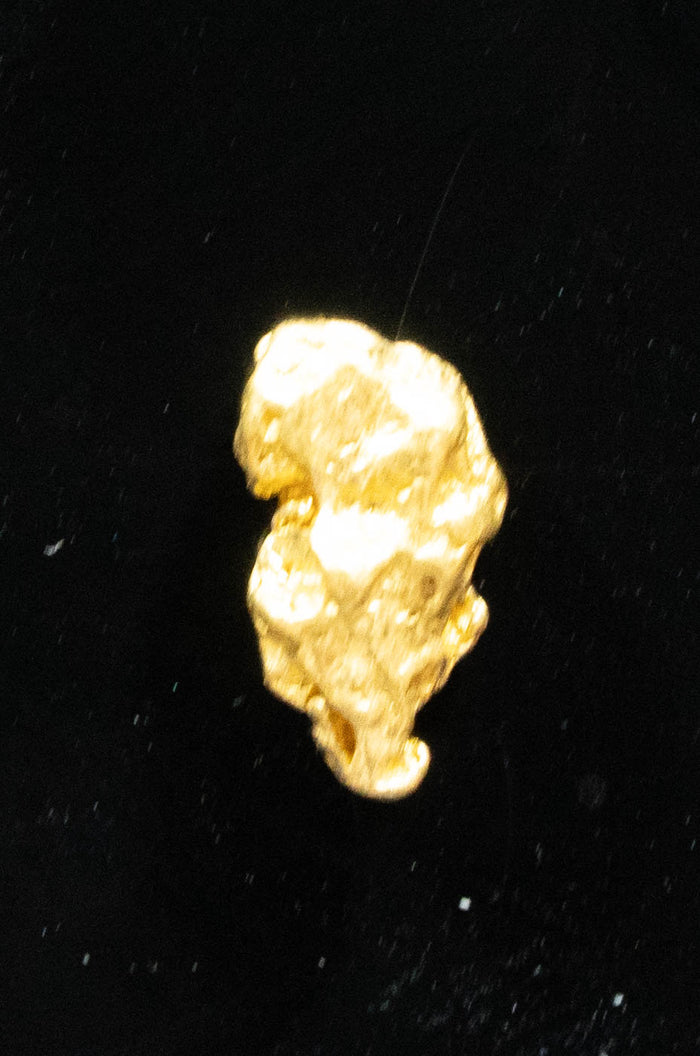 #743 Natural Gold Nugget Australian .48 Grams Genuine