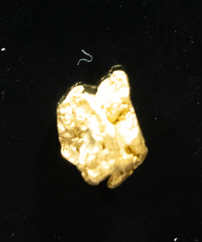 #746 Natural Gold Nugget Australian .43 Grams Genuine